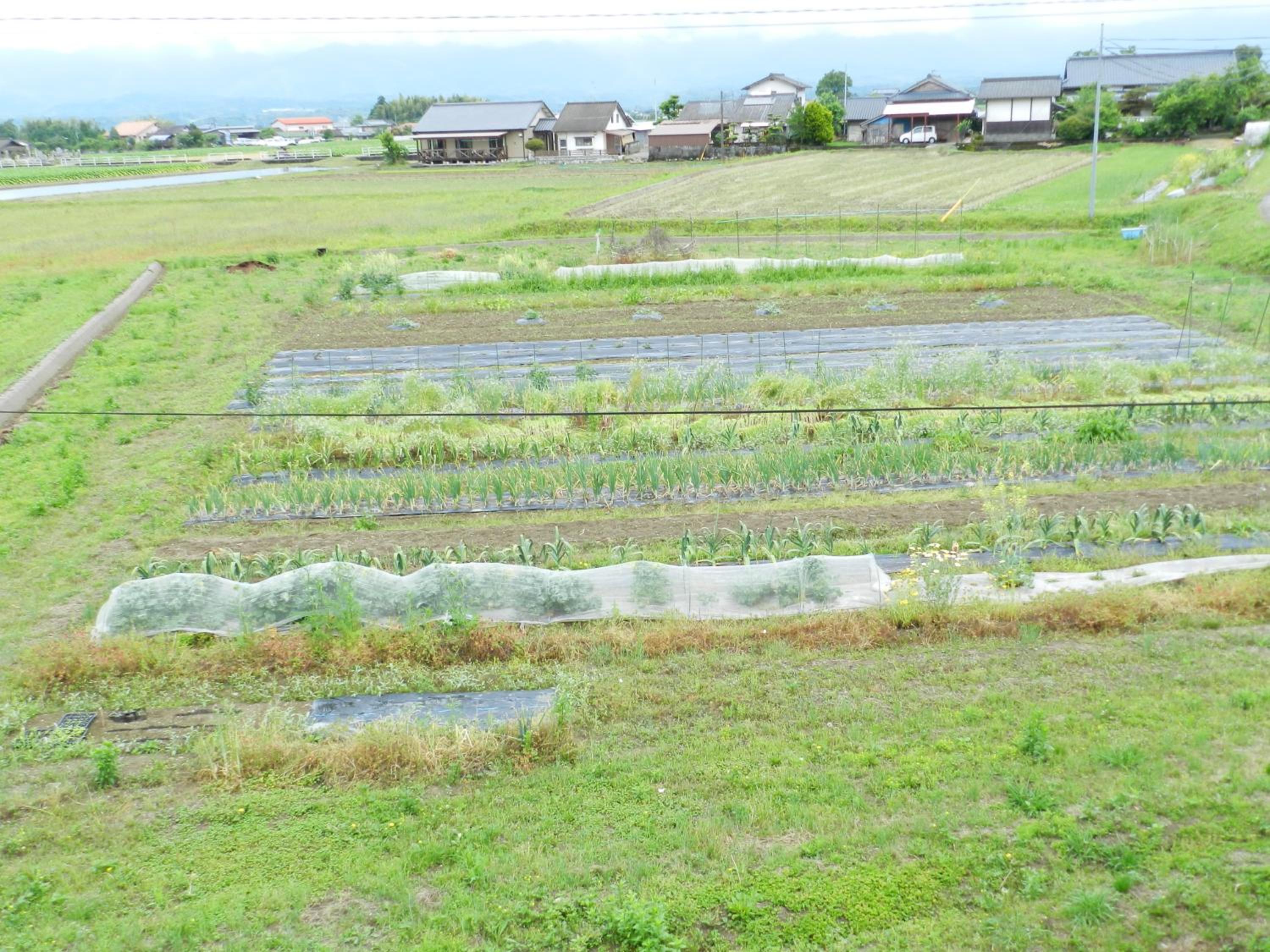 B&B Toyonoakari view 4