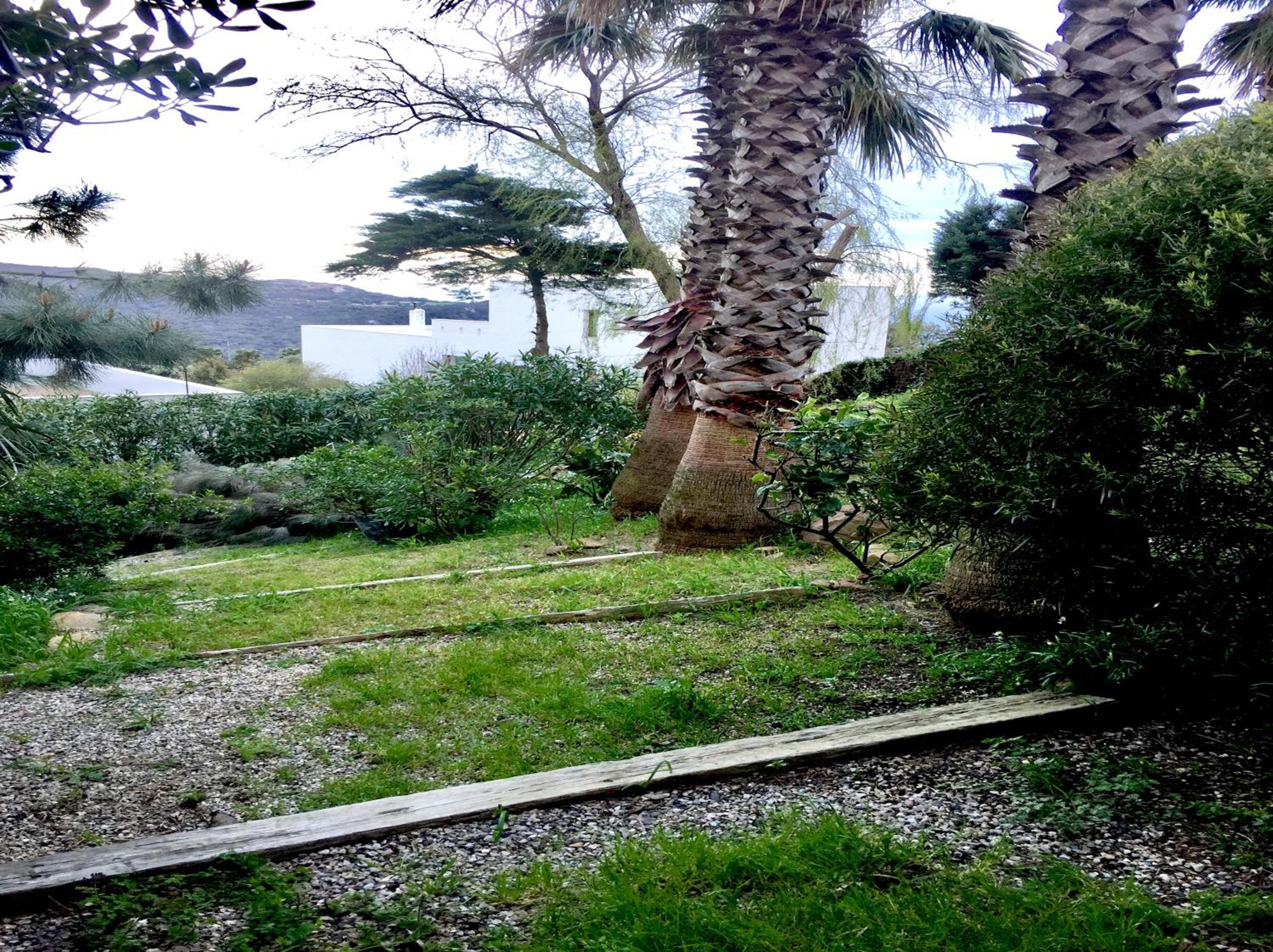 Photo 41