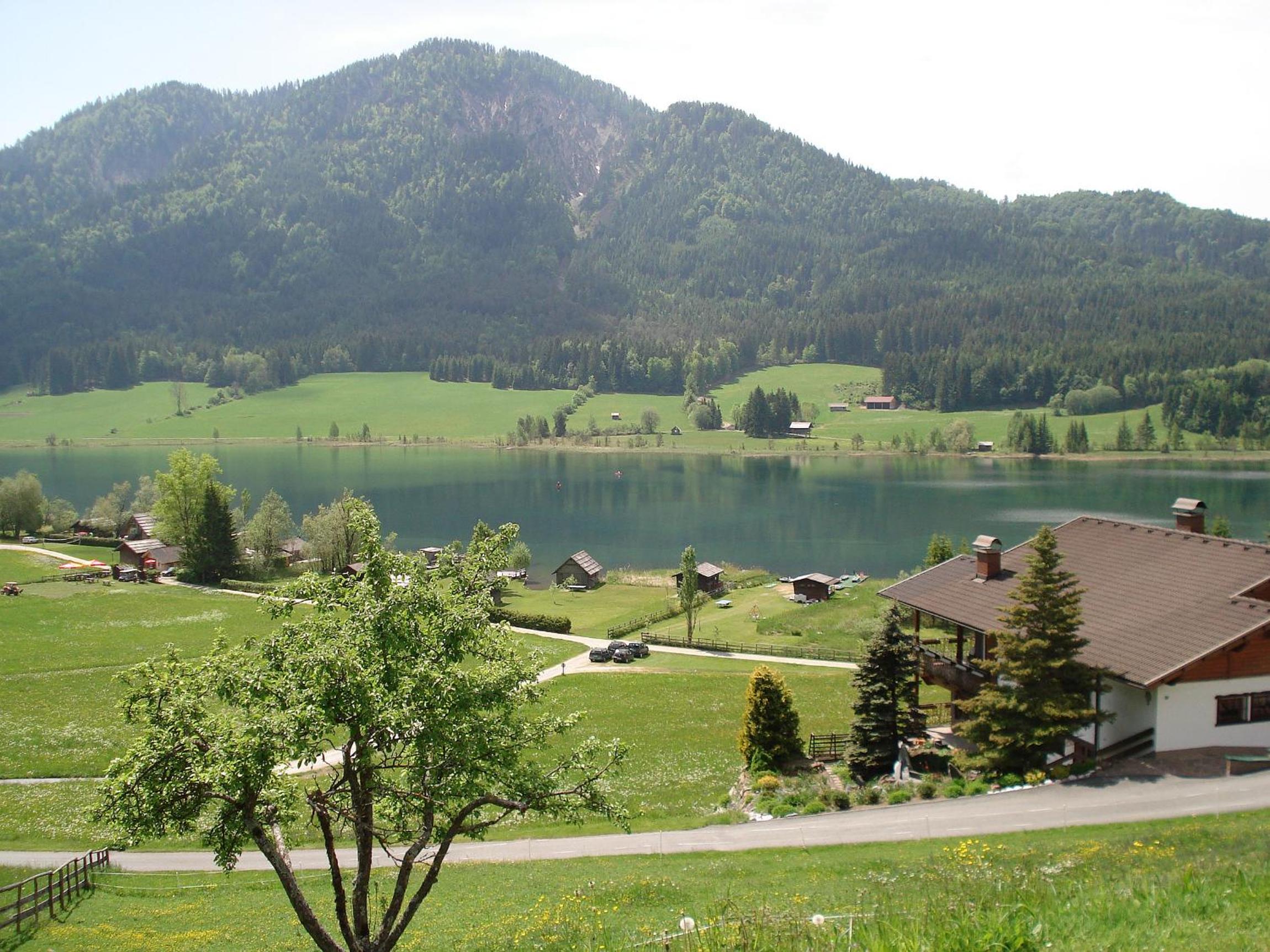 Photo 10