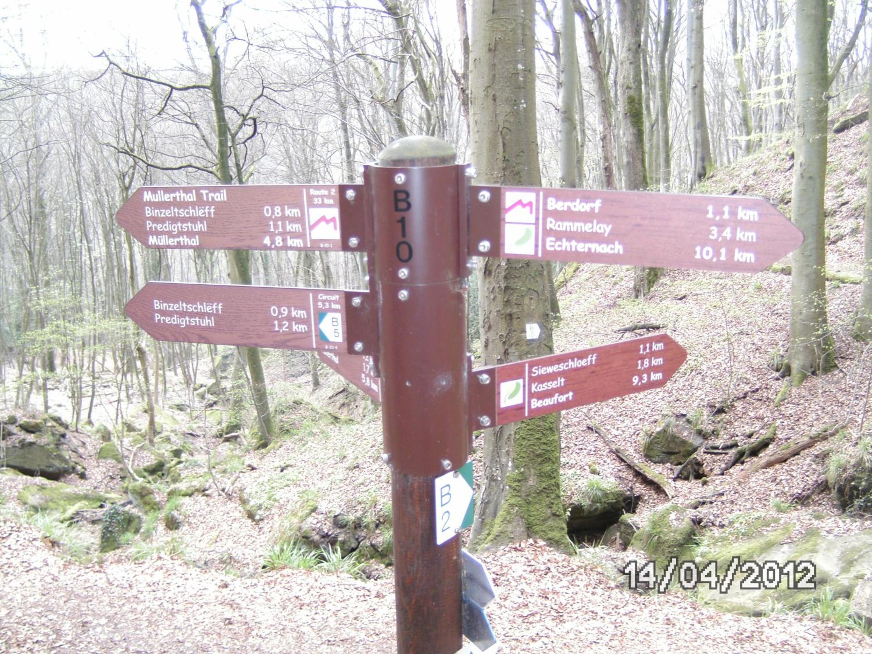 Photo 21
