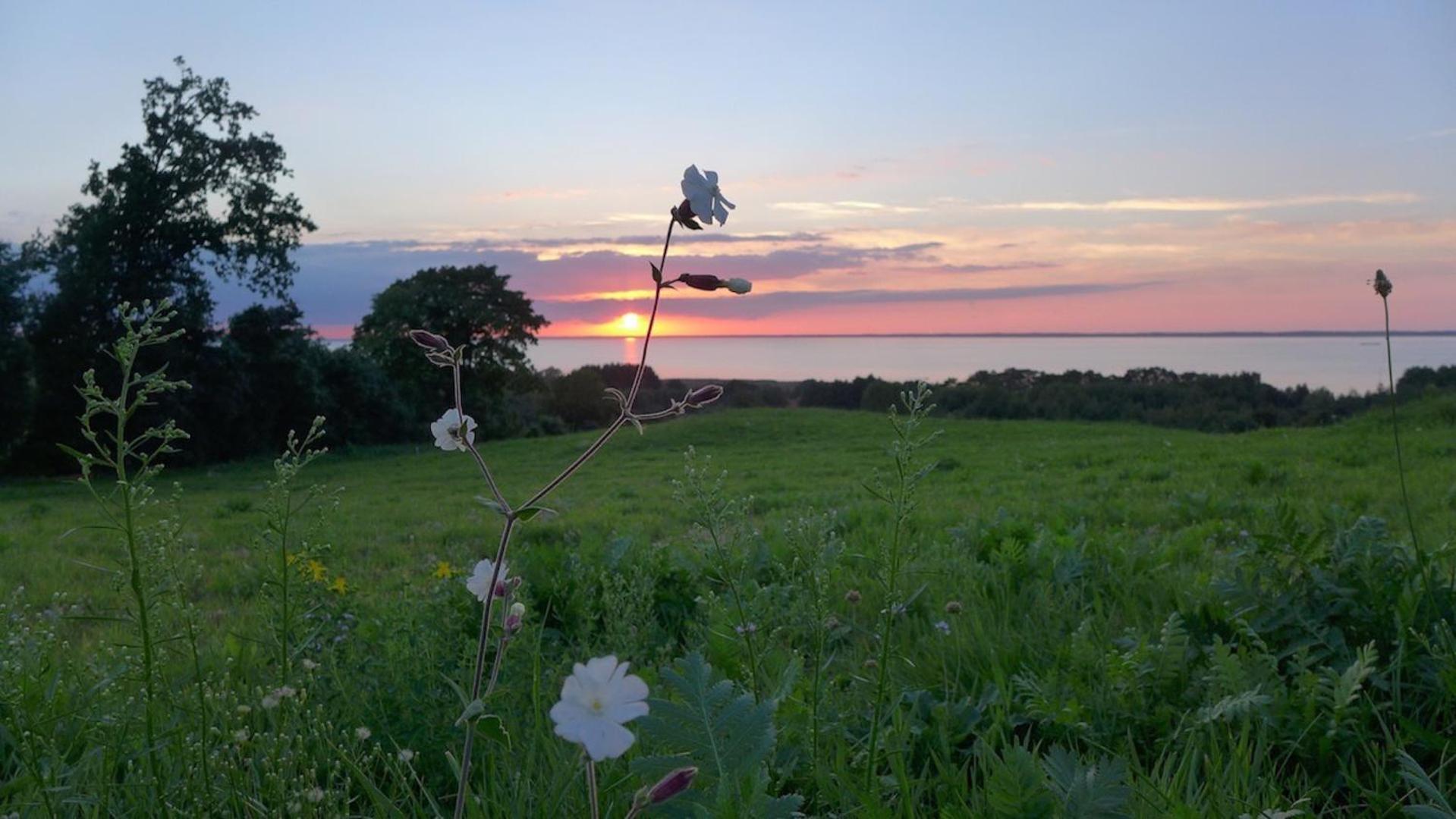 Studio na "Tęczowym Wzgórzu" view 4