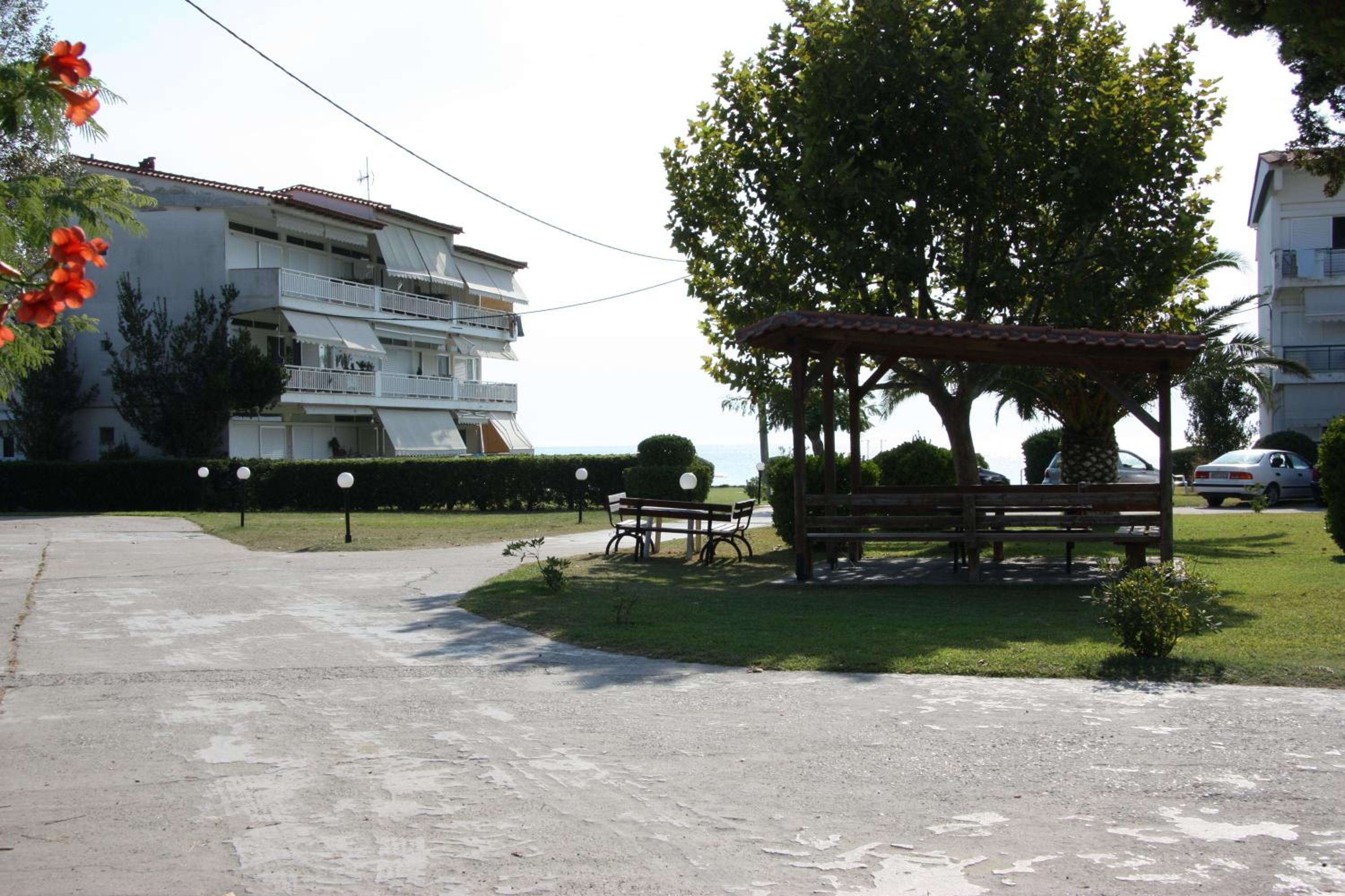 Photo 11