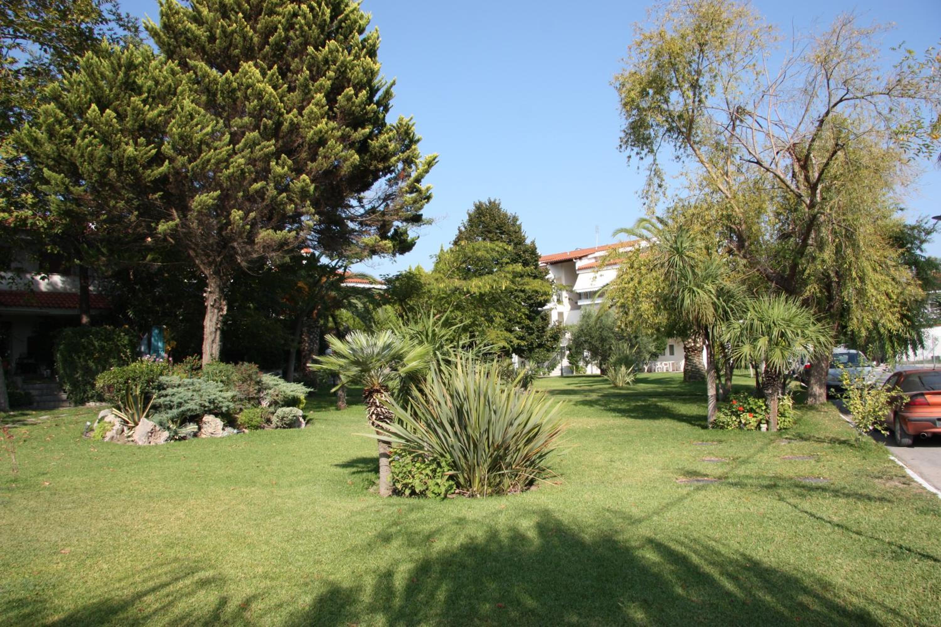 Photo 45