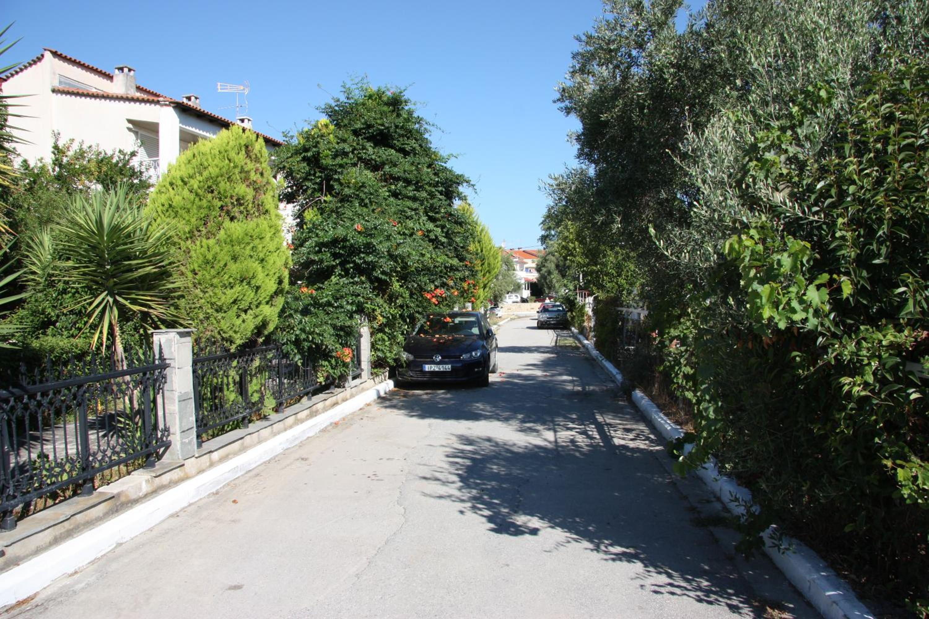 Photo 33