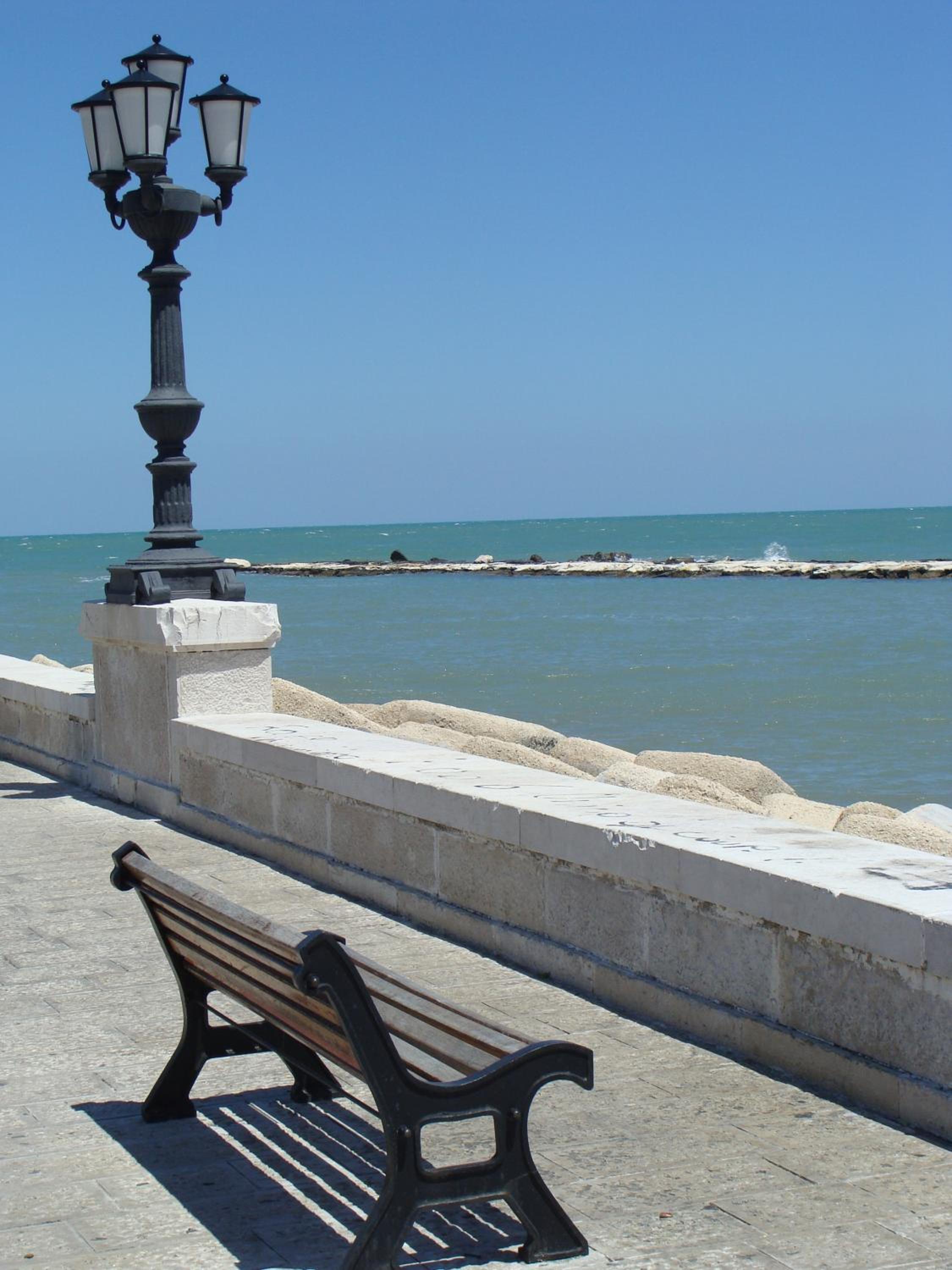 Photo 43