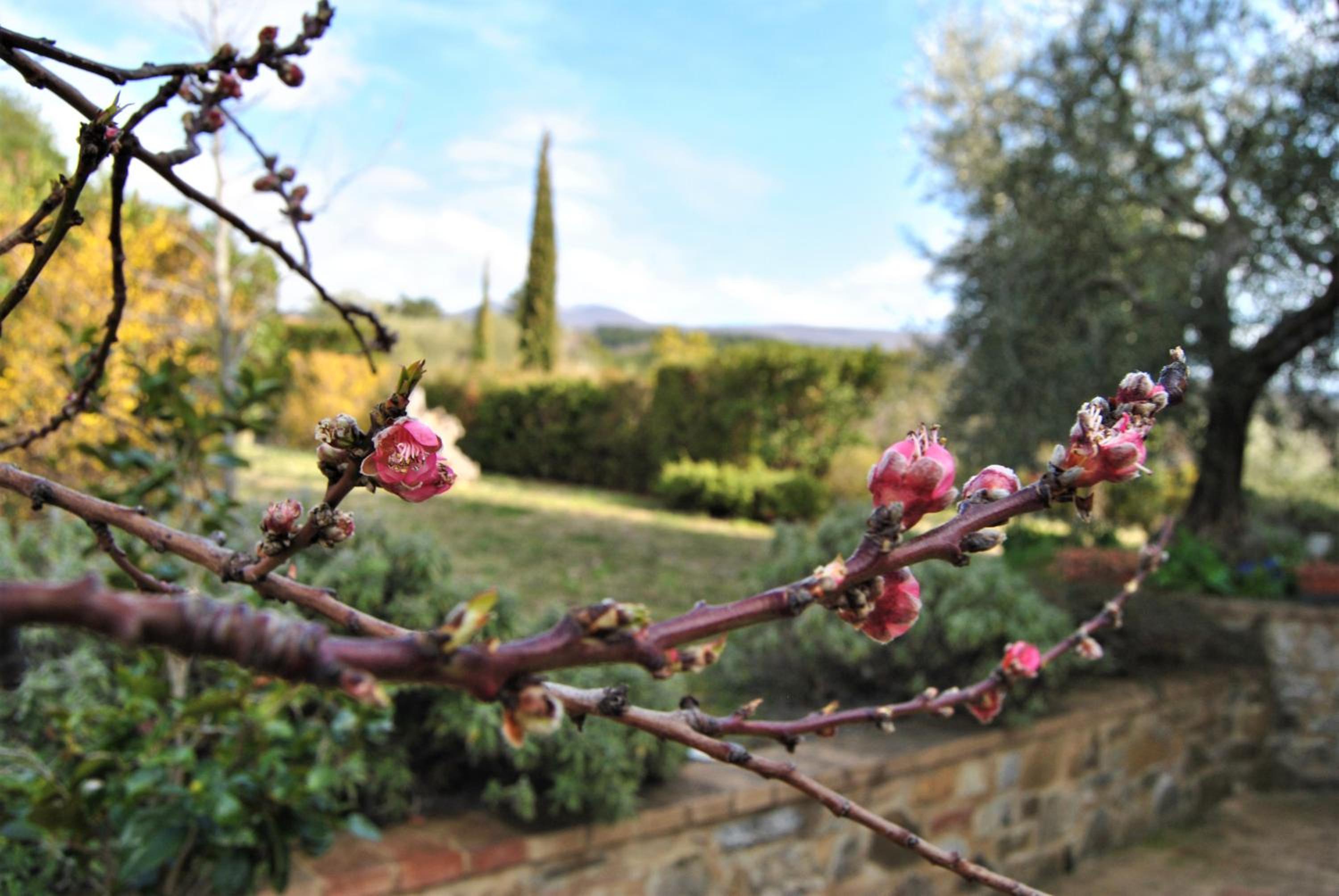 Casa Fioranna photo 5