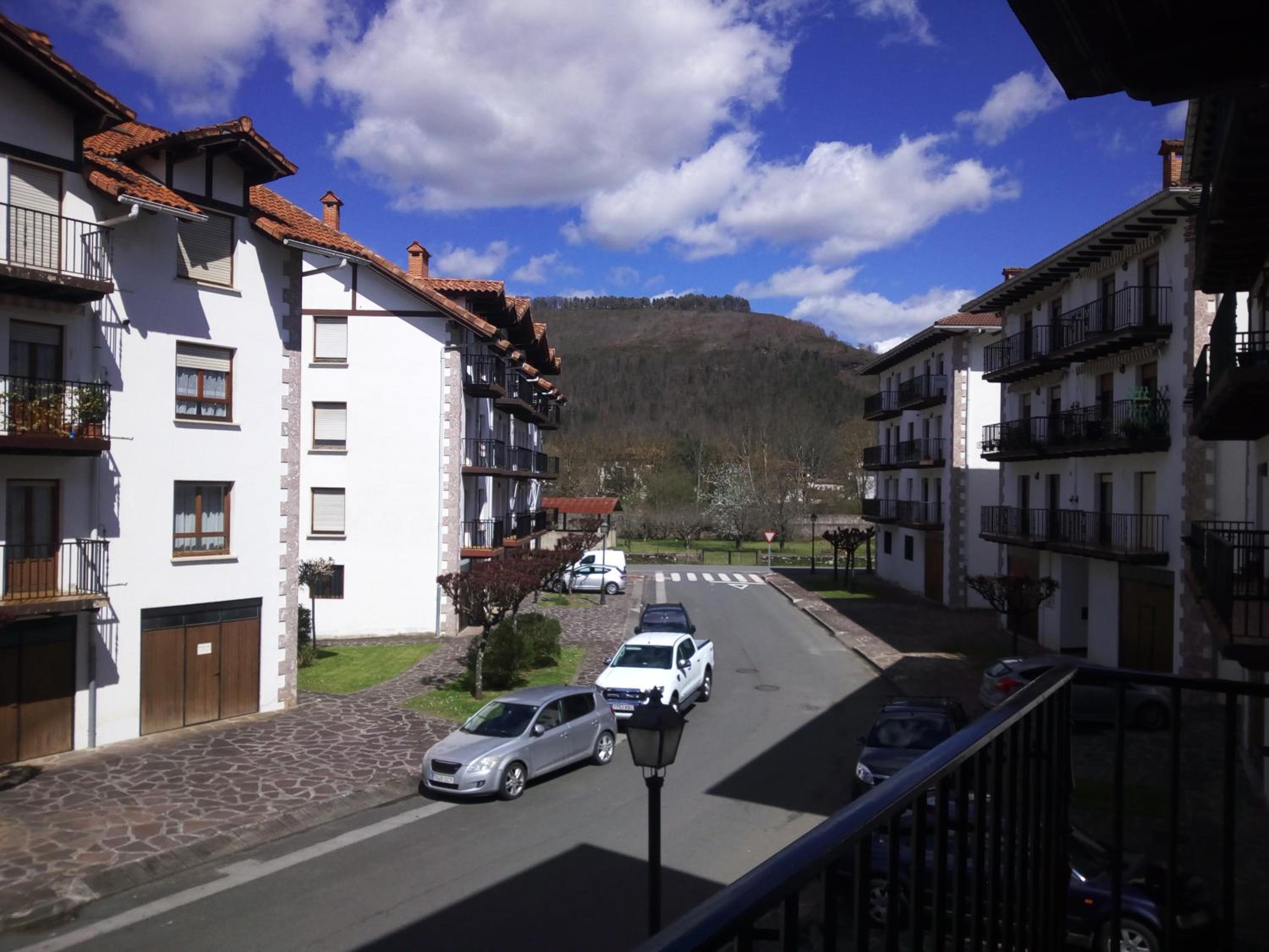 Pedroenea Apartamento Elizondo view 2