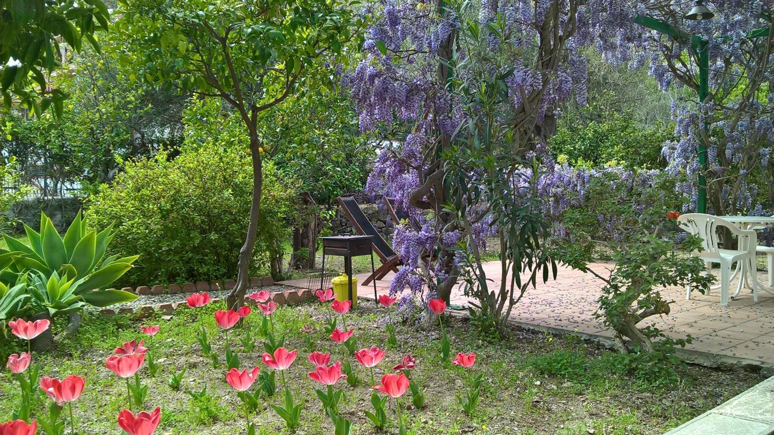 Photo 46