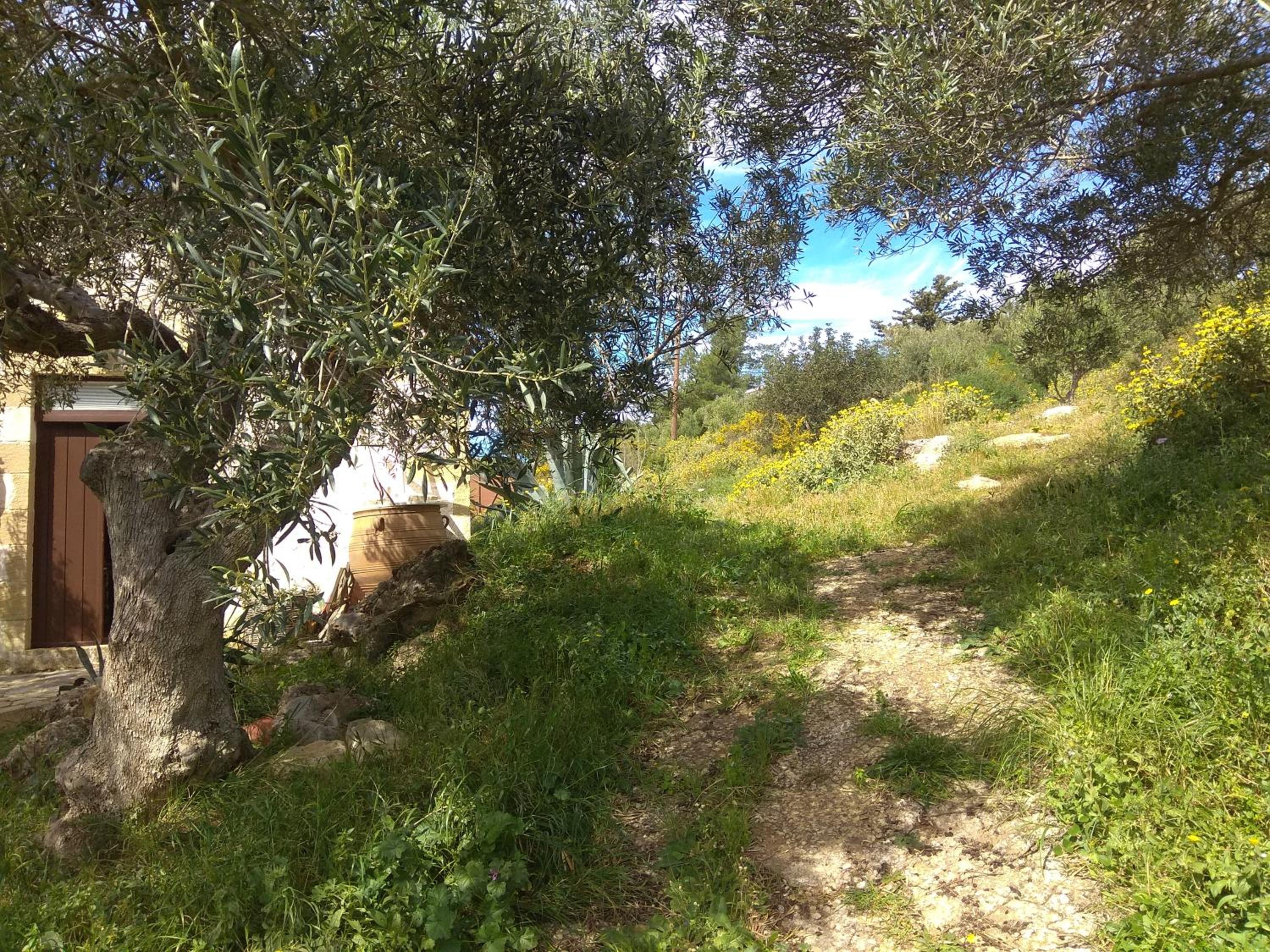 Photo 42