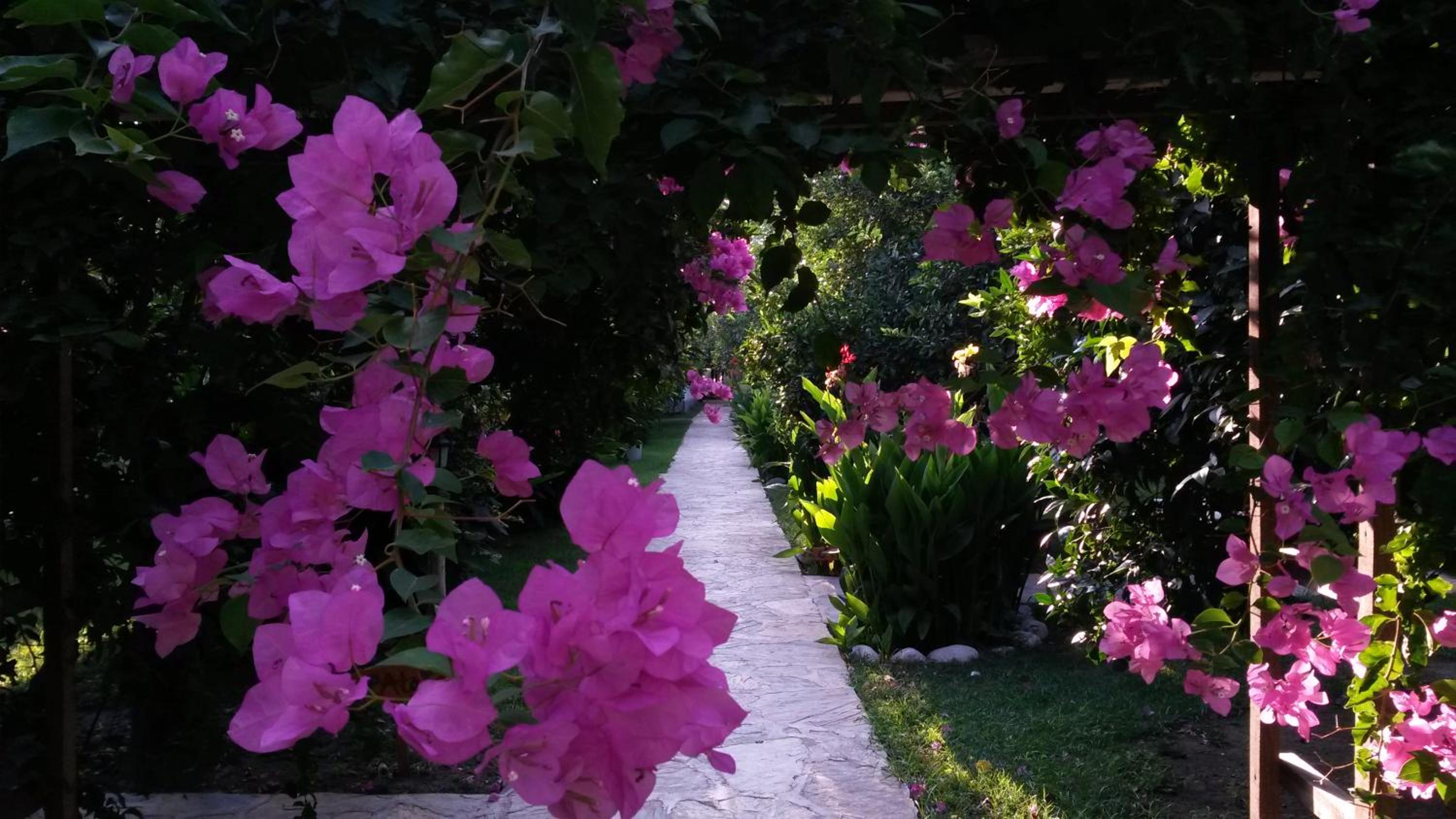 Hotel Yavuz Bungalow