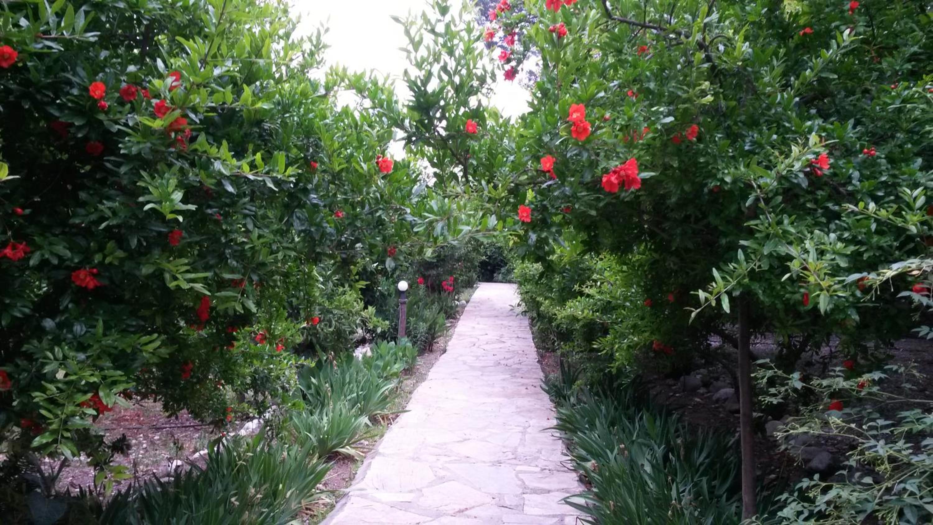 Hotel Yavuz Bungalow