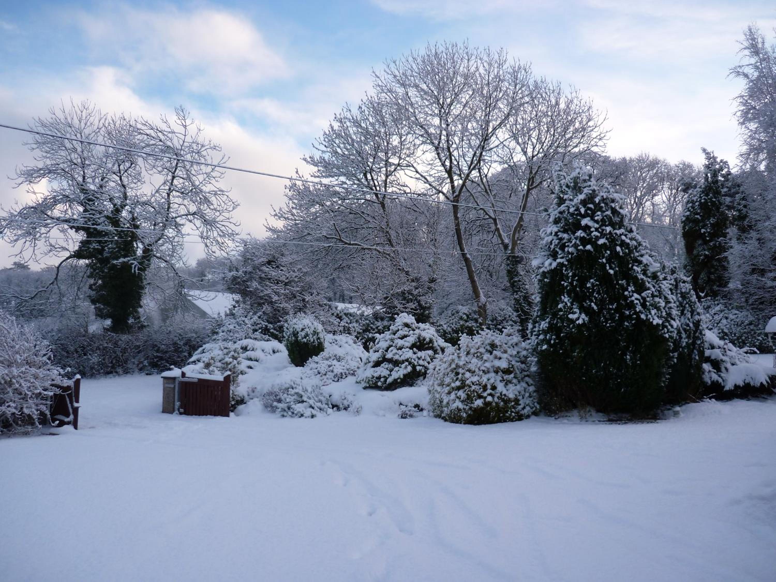 Lon y Traeth Bed & Breakfast