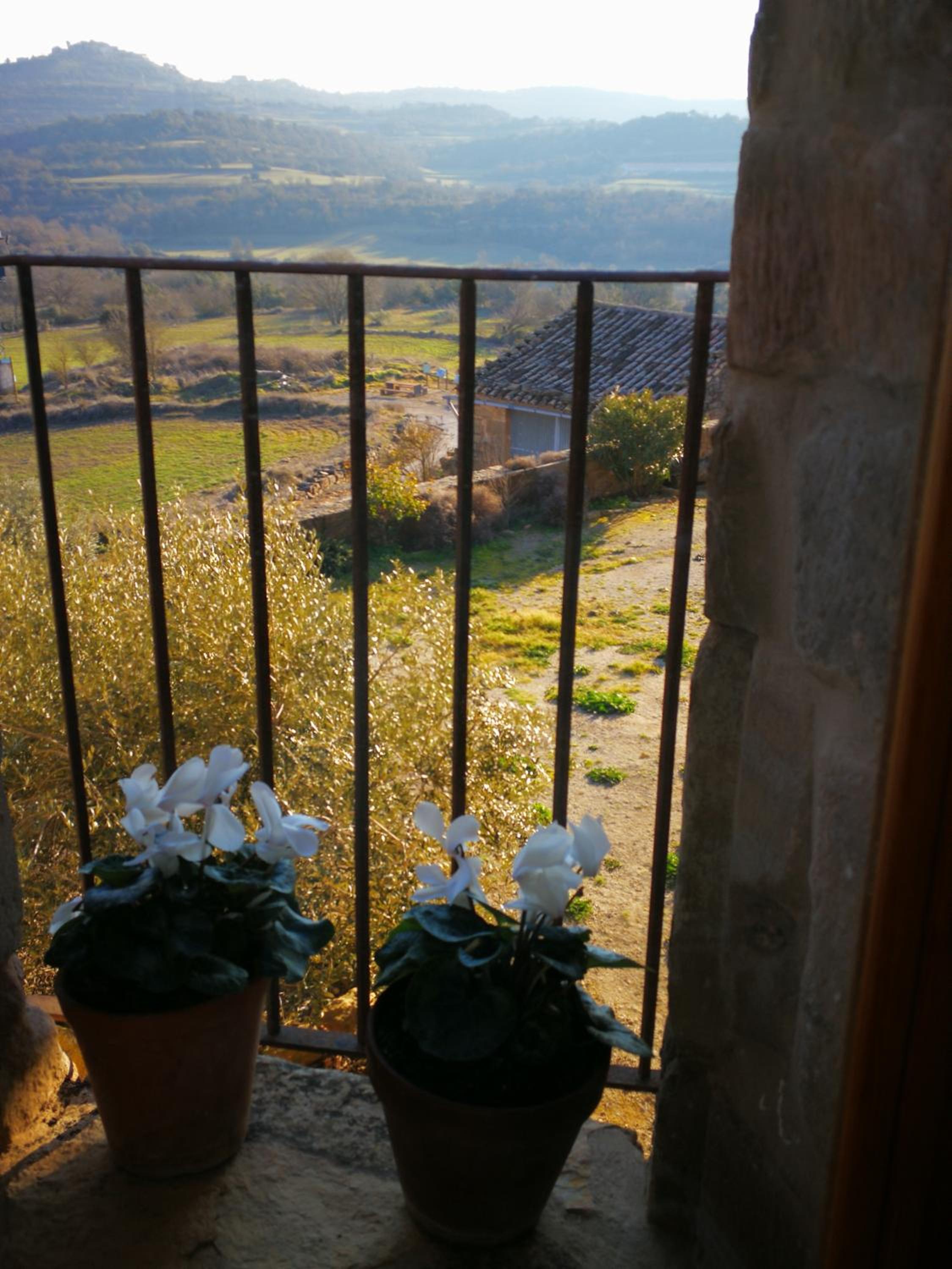 La casa dels ocells