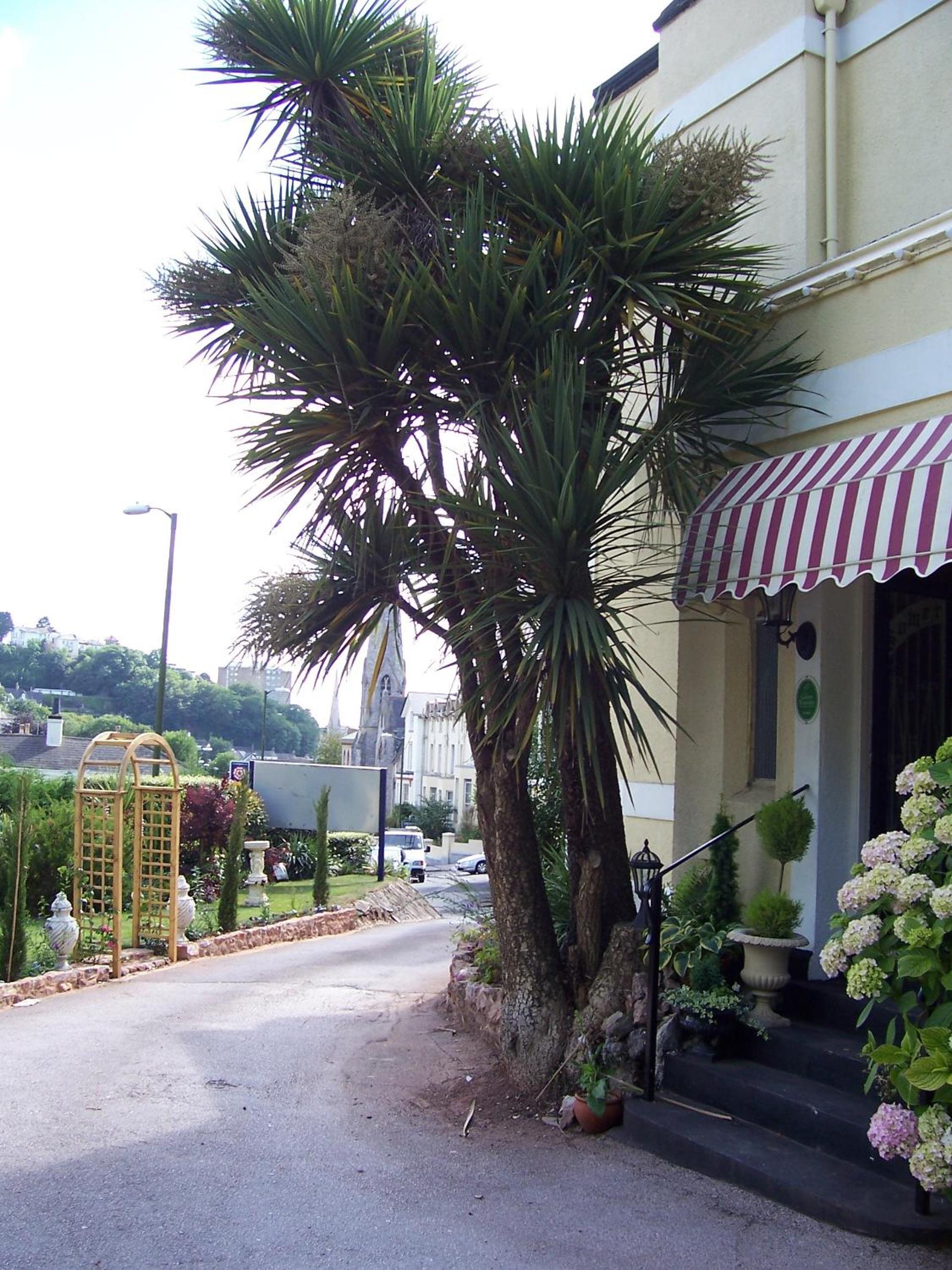 Photo 40