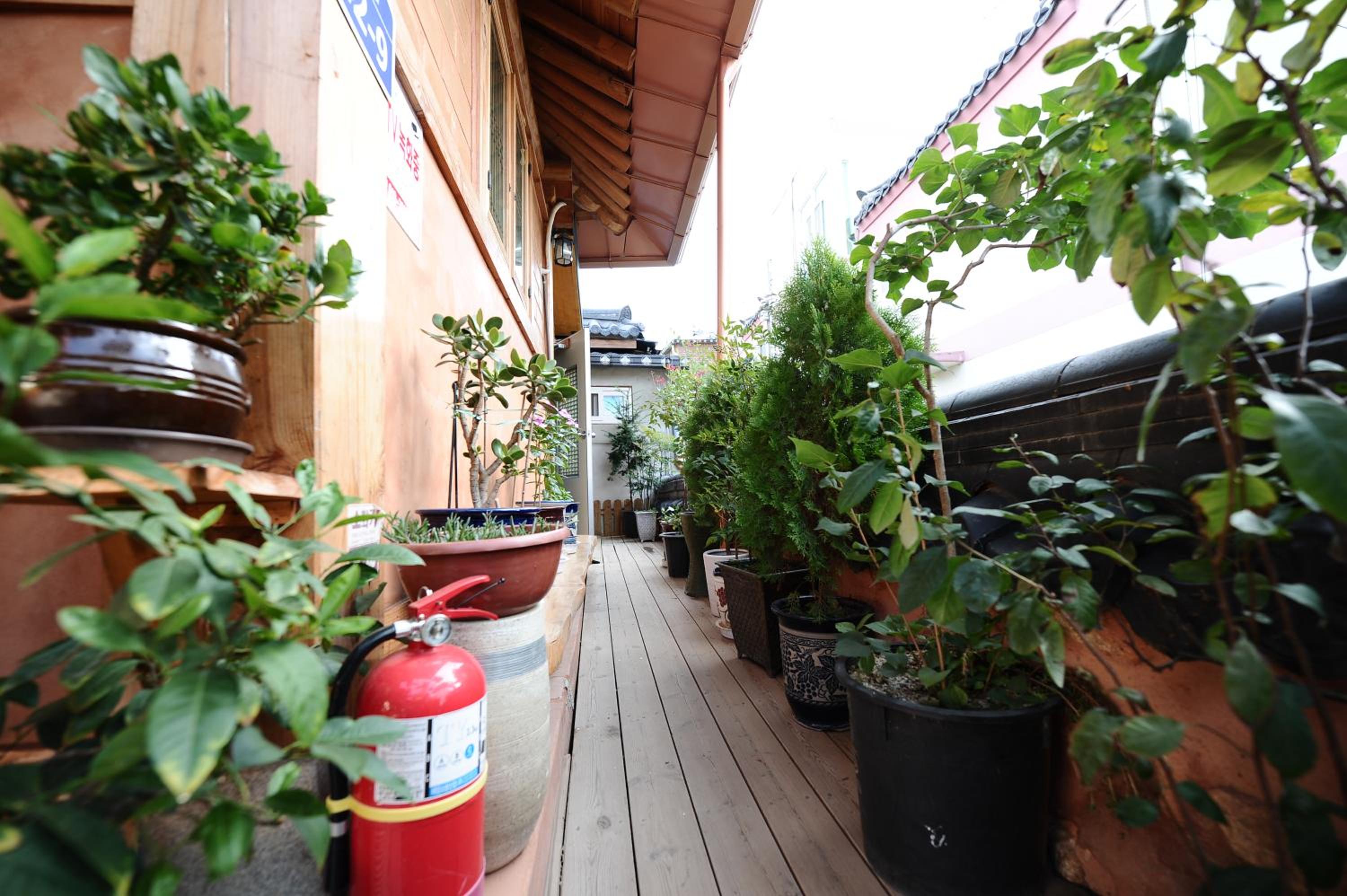 Photo 48