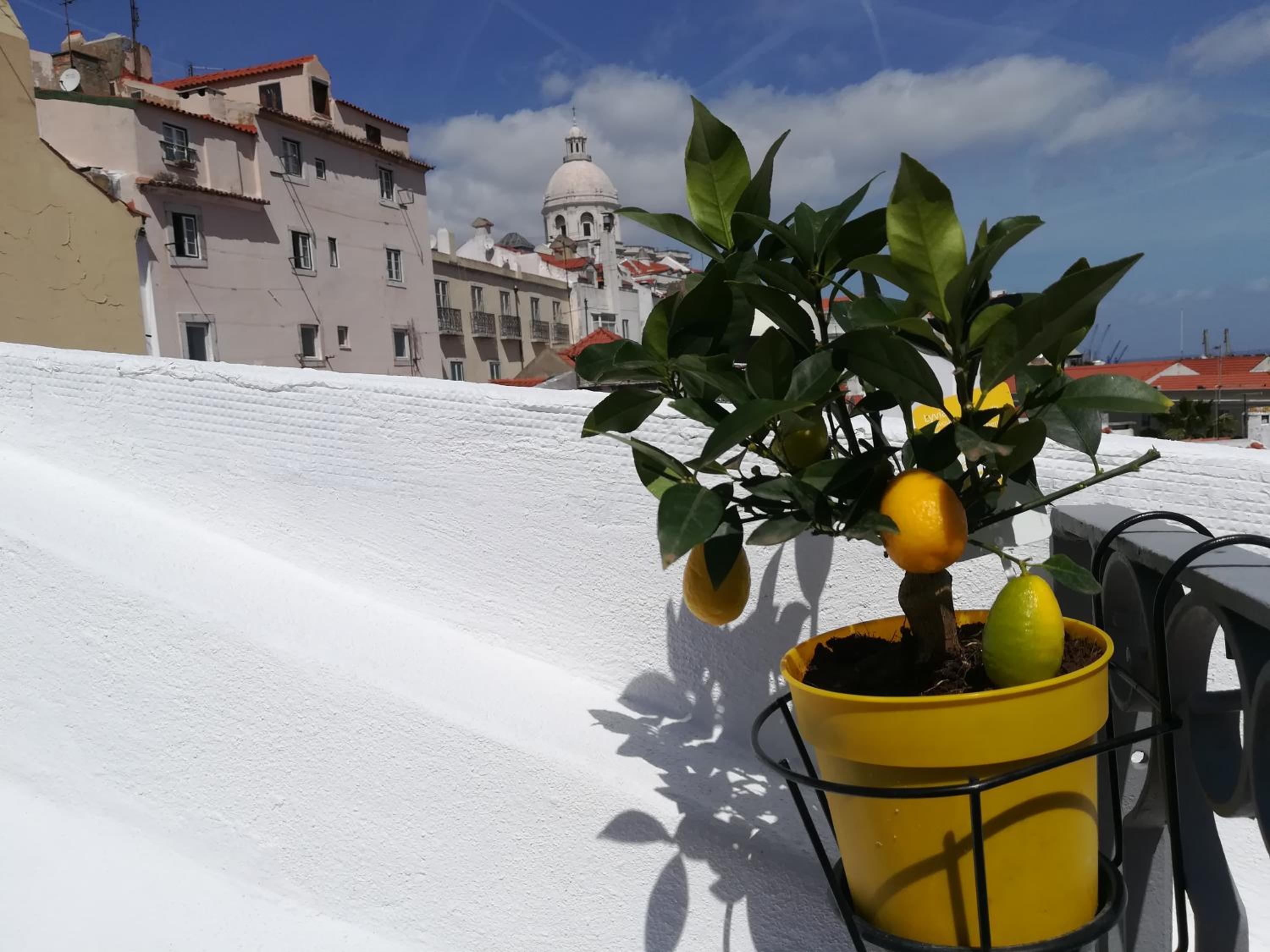 Rooftop in Alfama - Little Triplex photo 4