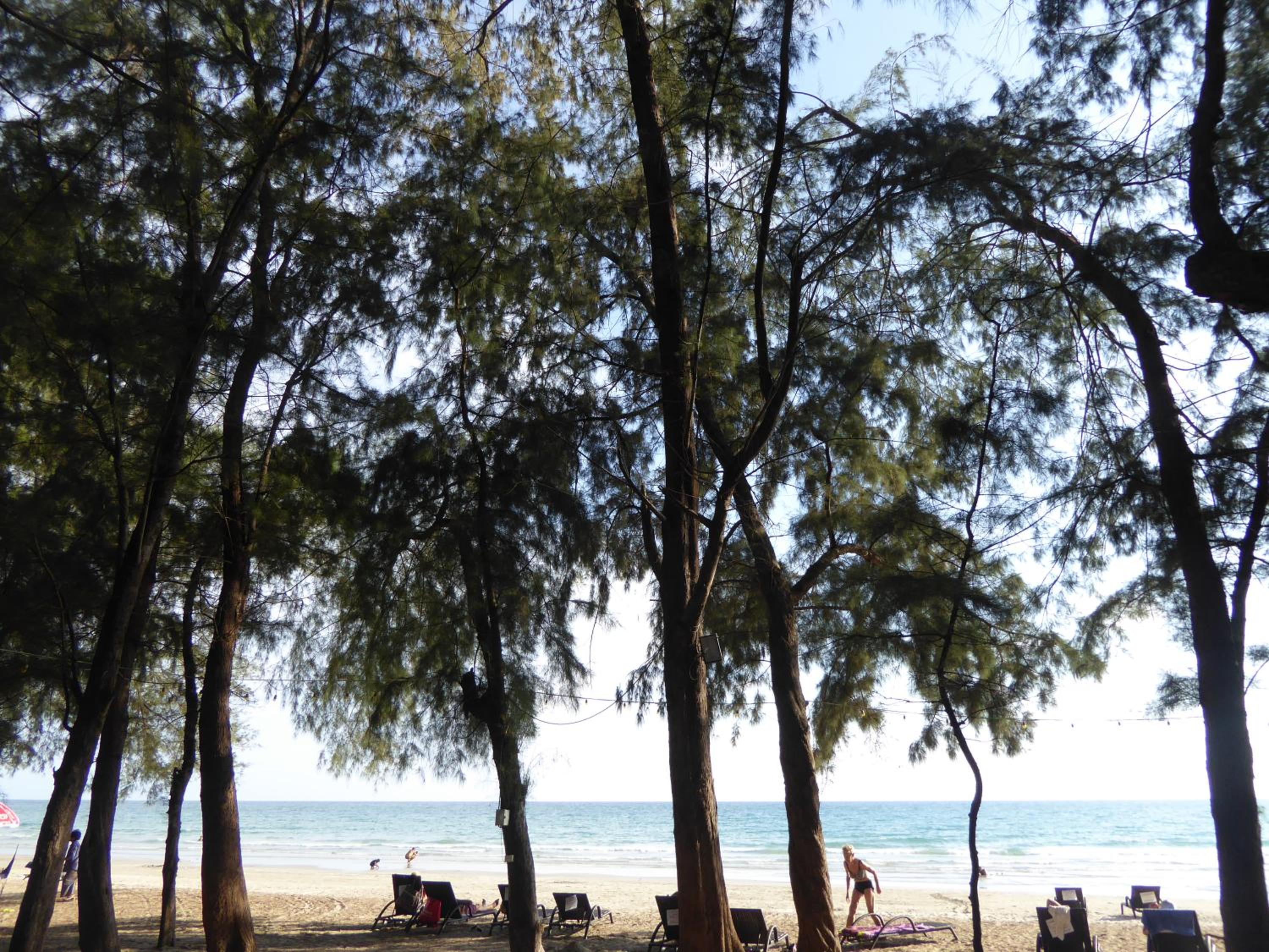 The Orchid Beach Resort @ VIP Chain Resort