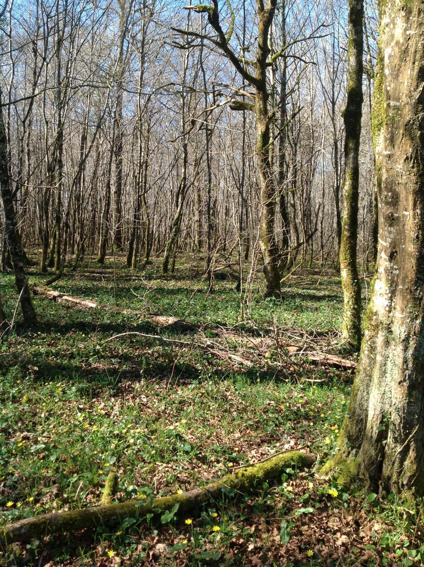 Photo 12