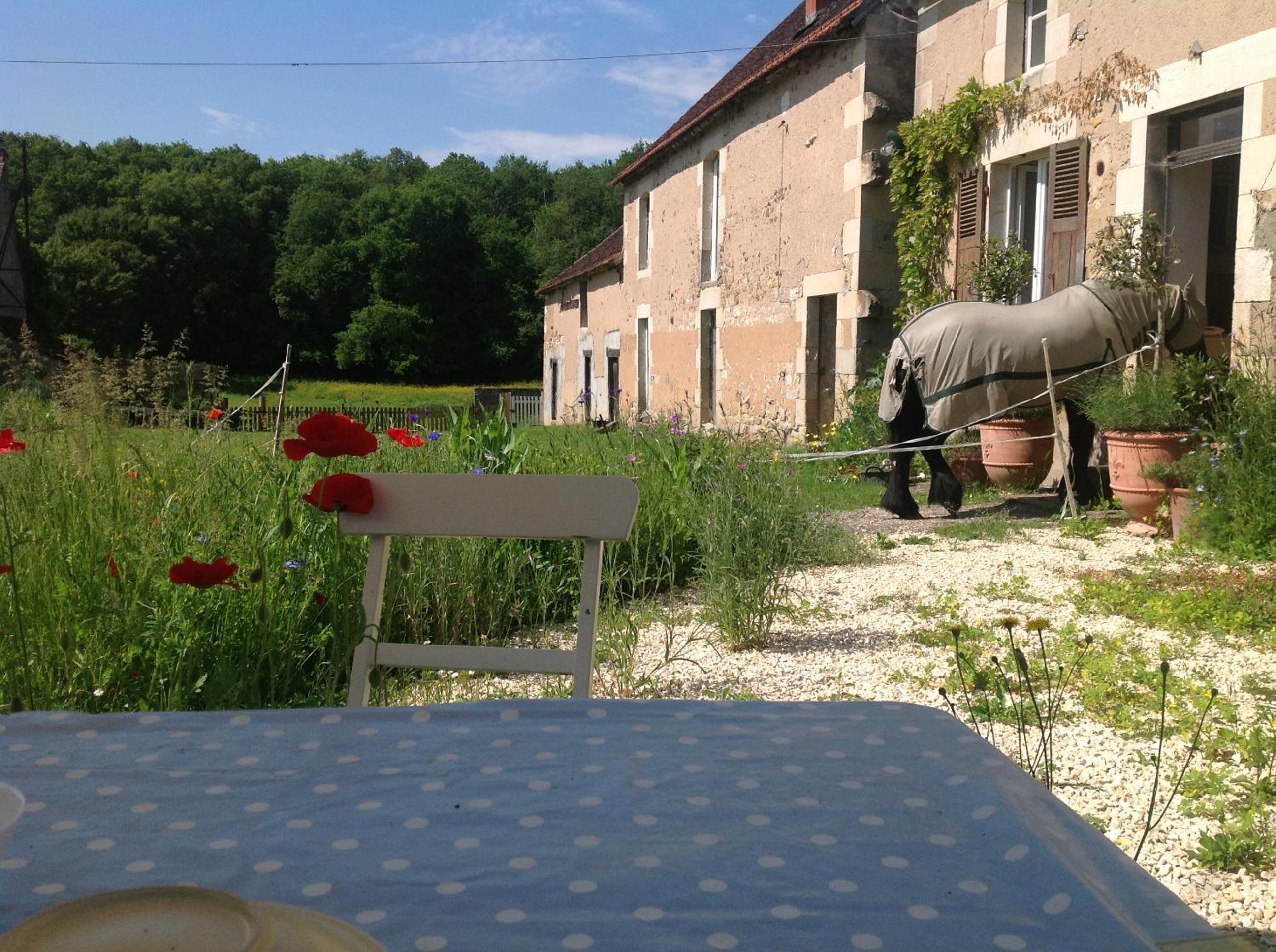 Le Domaine view 4