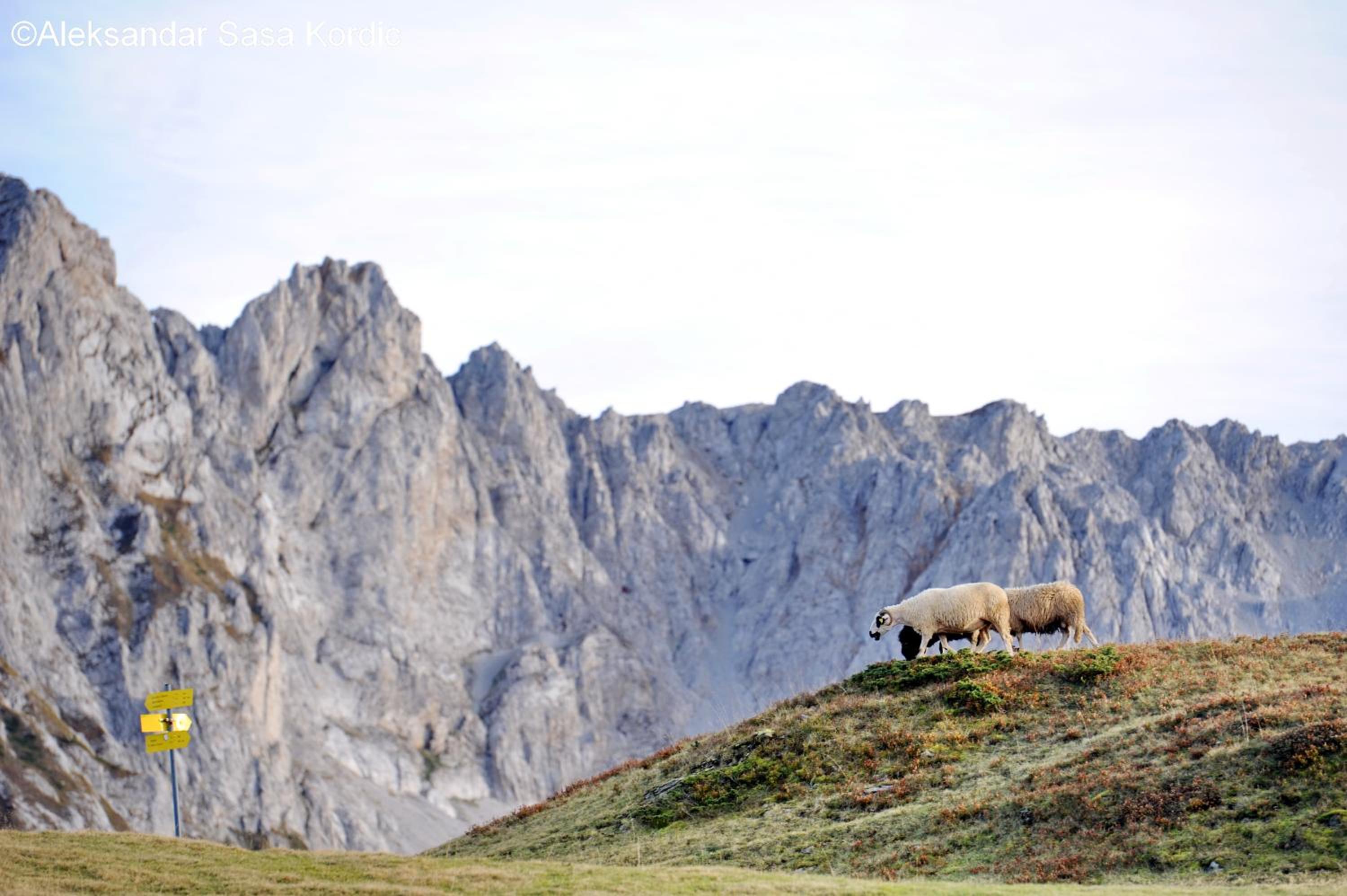 Photo 48