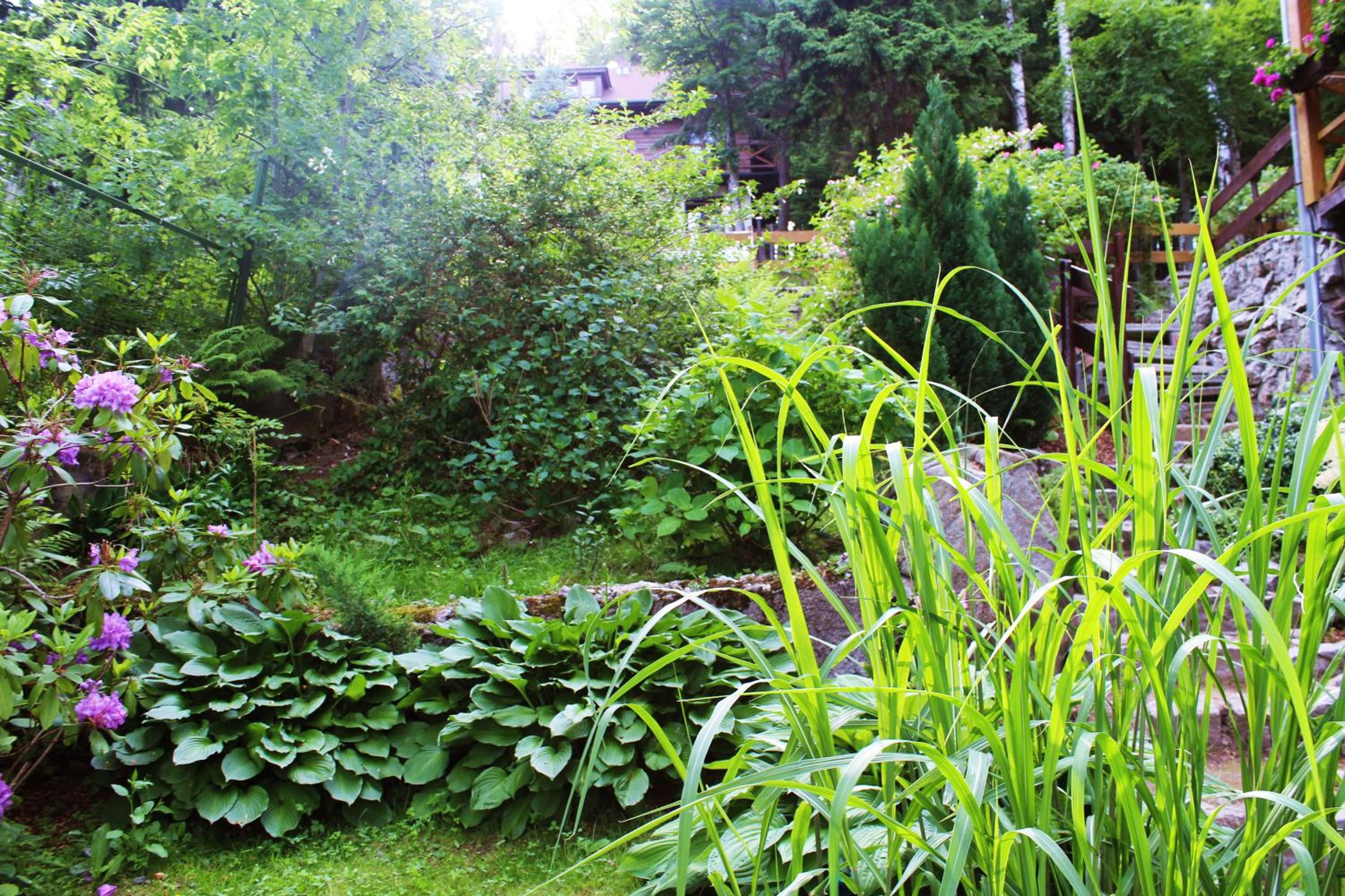 Photo 27