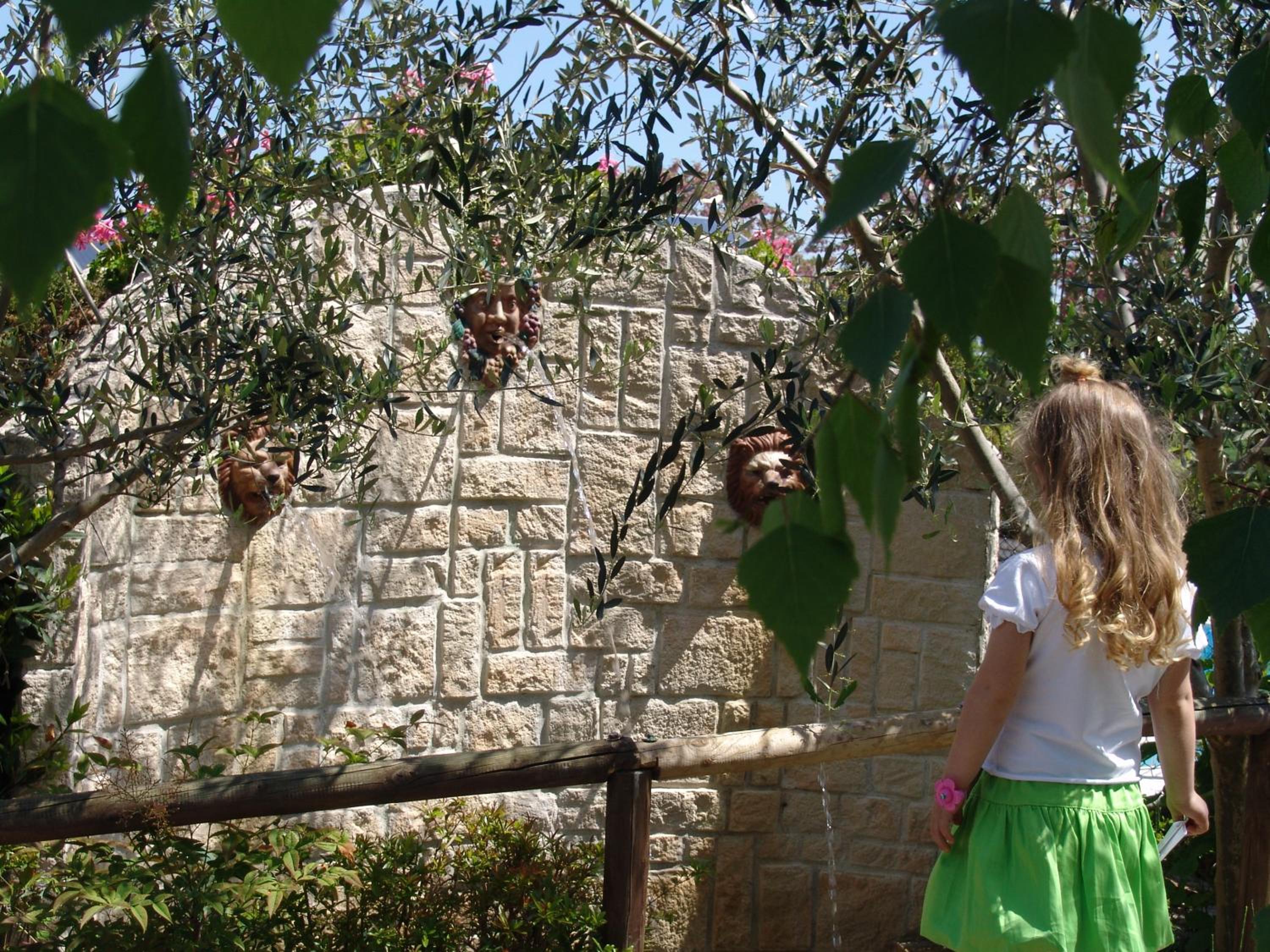 Fattoria Belvedere