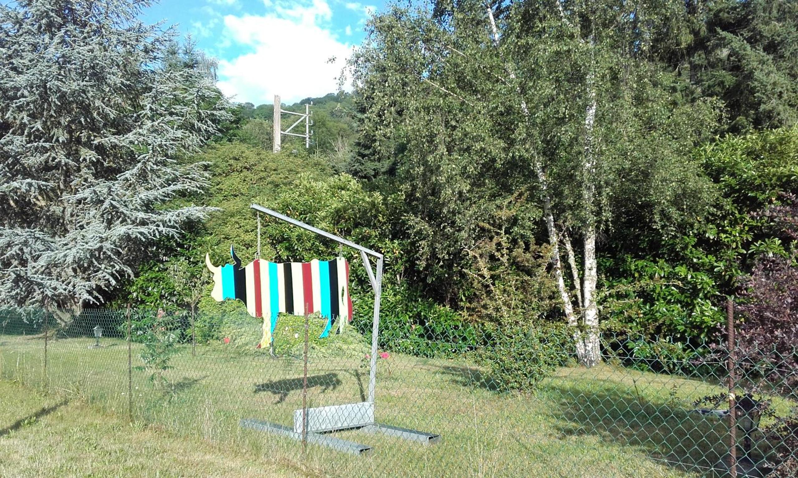 Photo 26