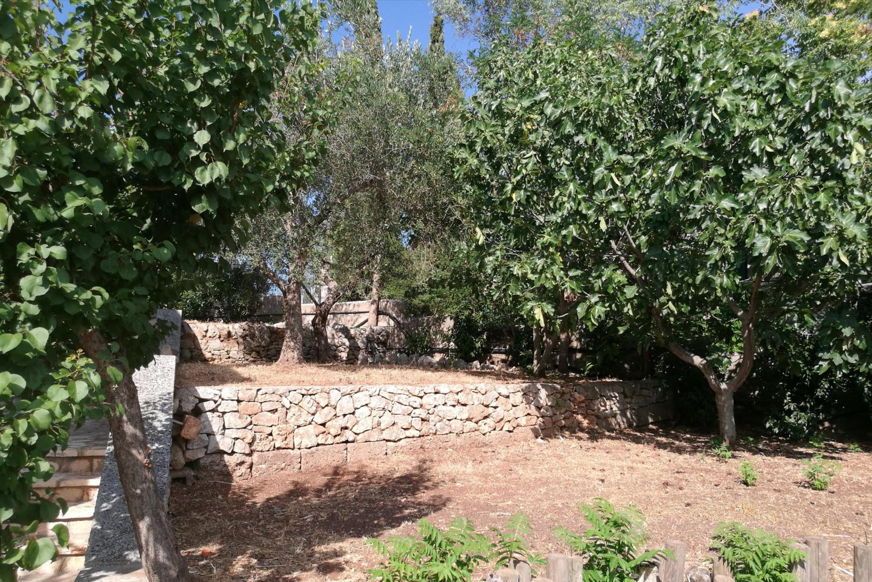 Photo 35