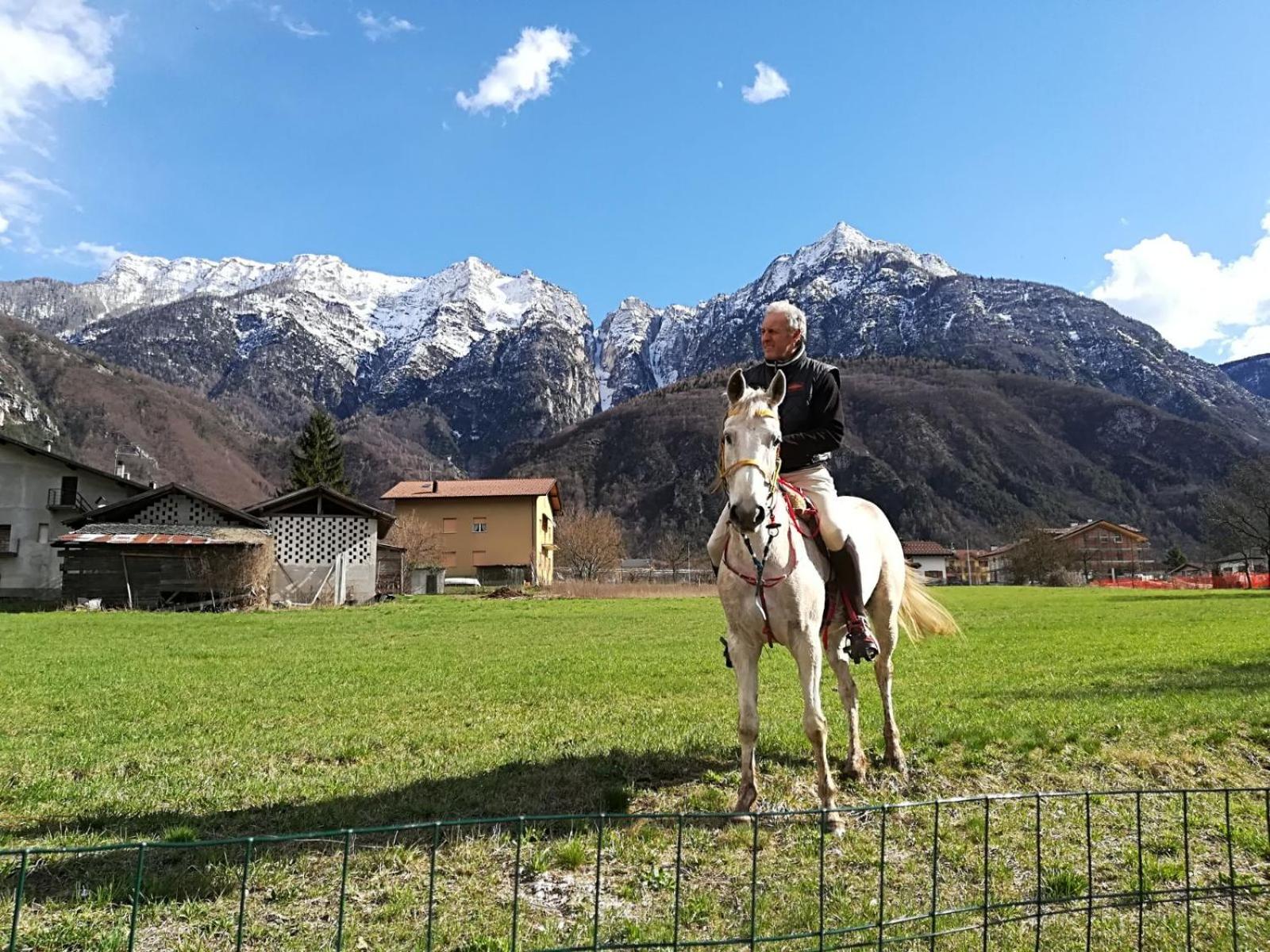 Agritur Airone Bed & Camping view 4