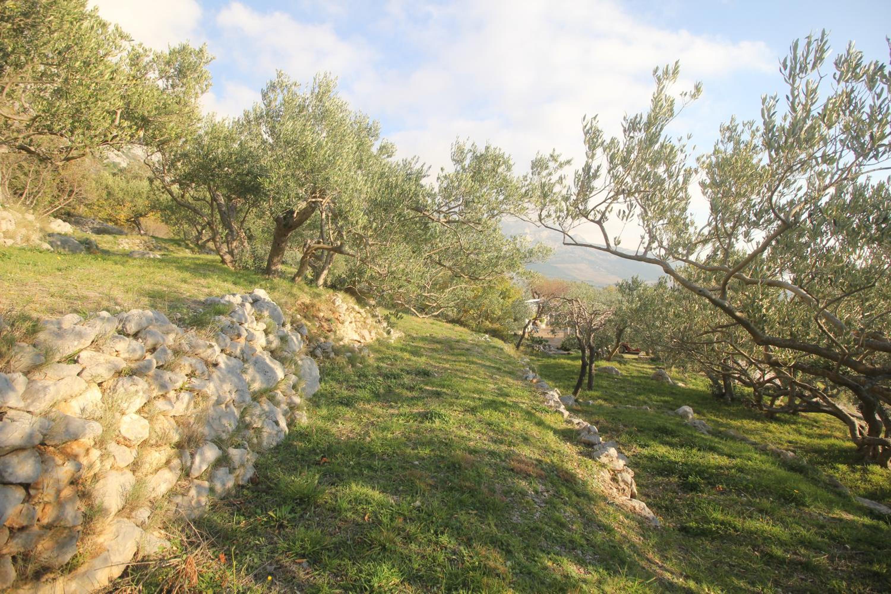 Photo 36