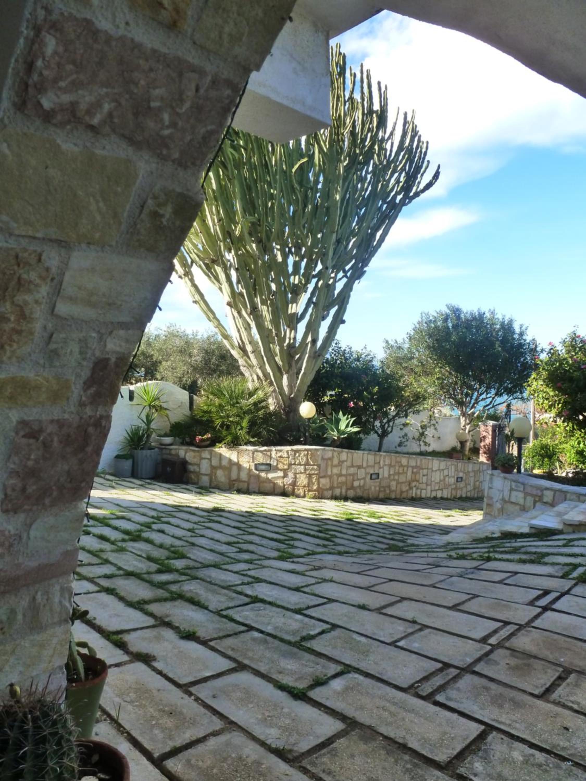 Casa Calendule