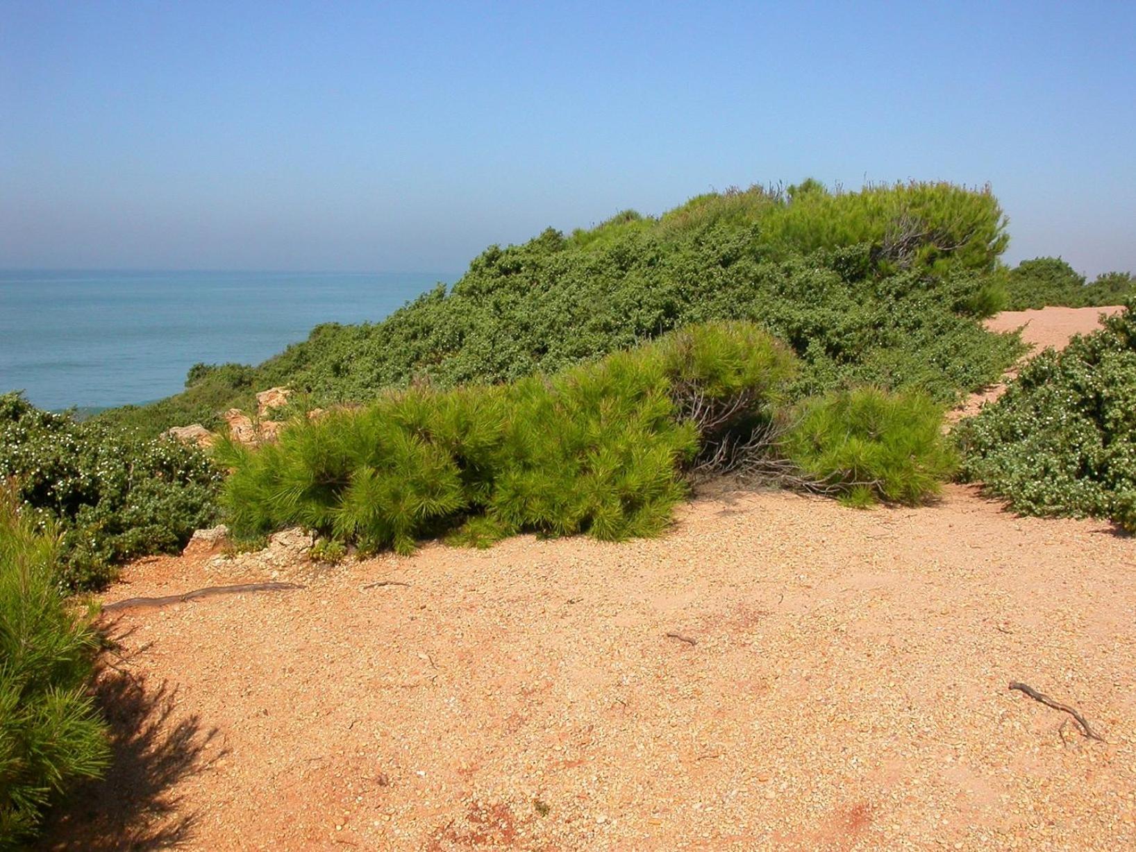 Photo 30