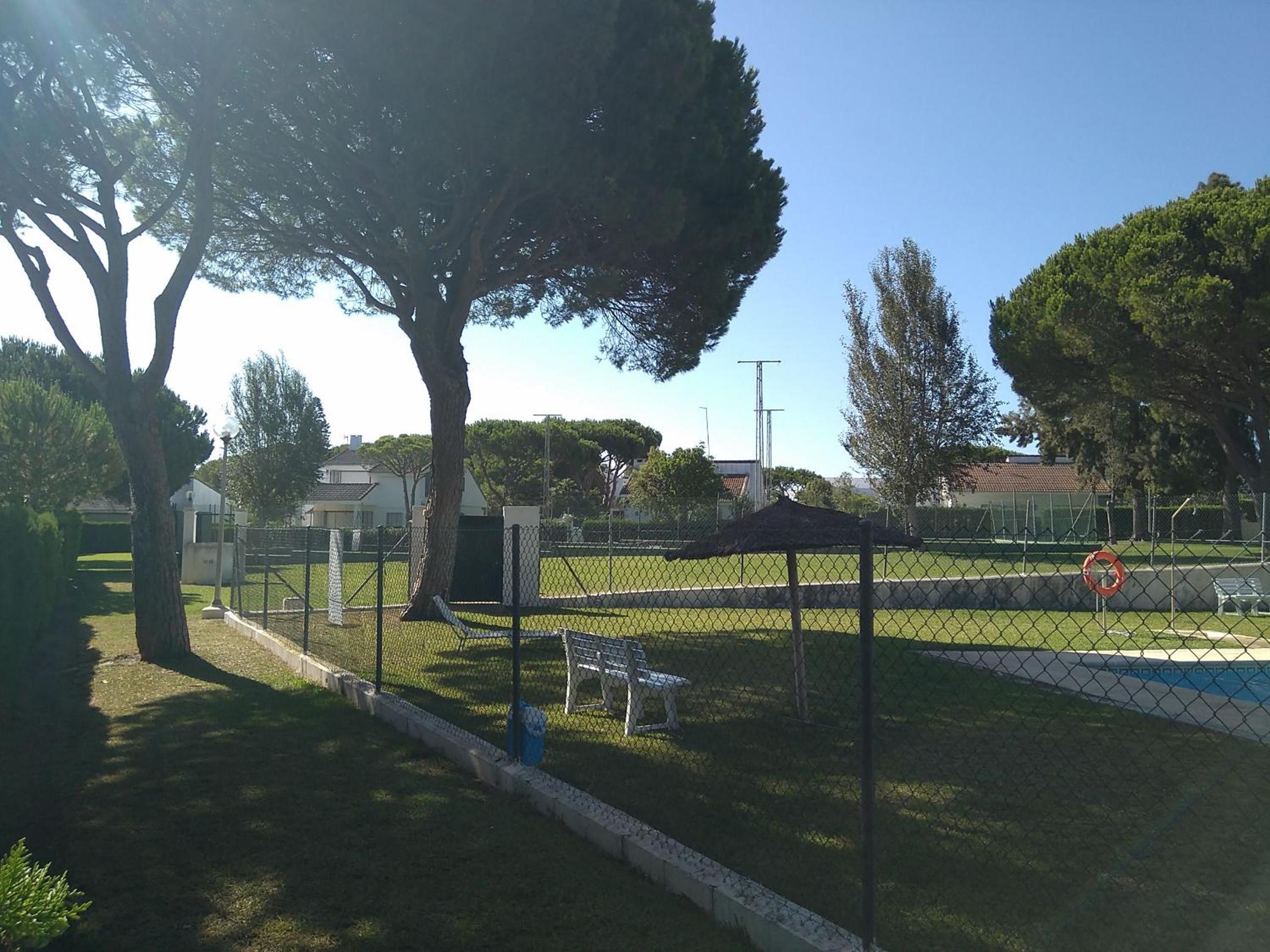 Photo 31