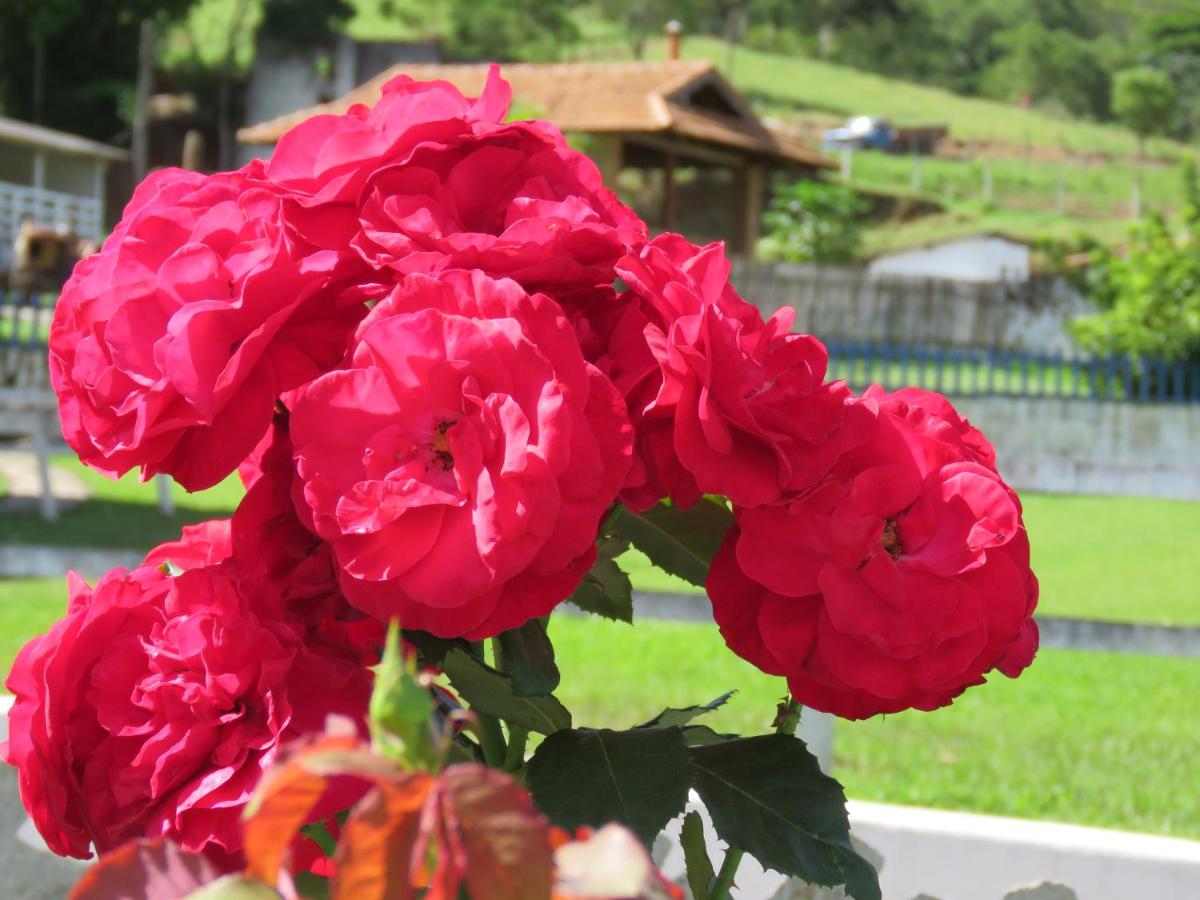 Fazenda Jorge Tardin
