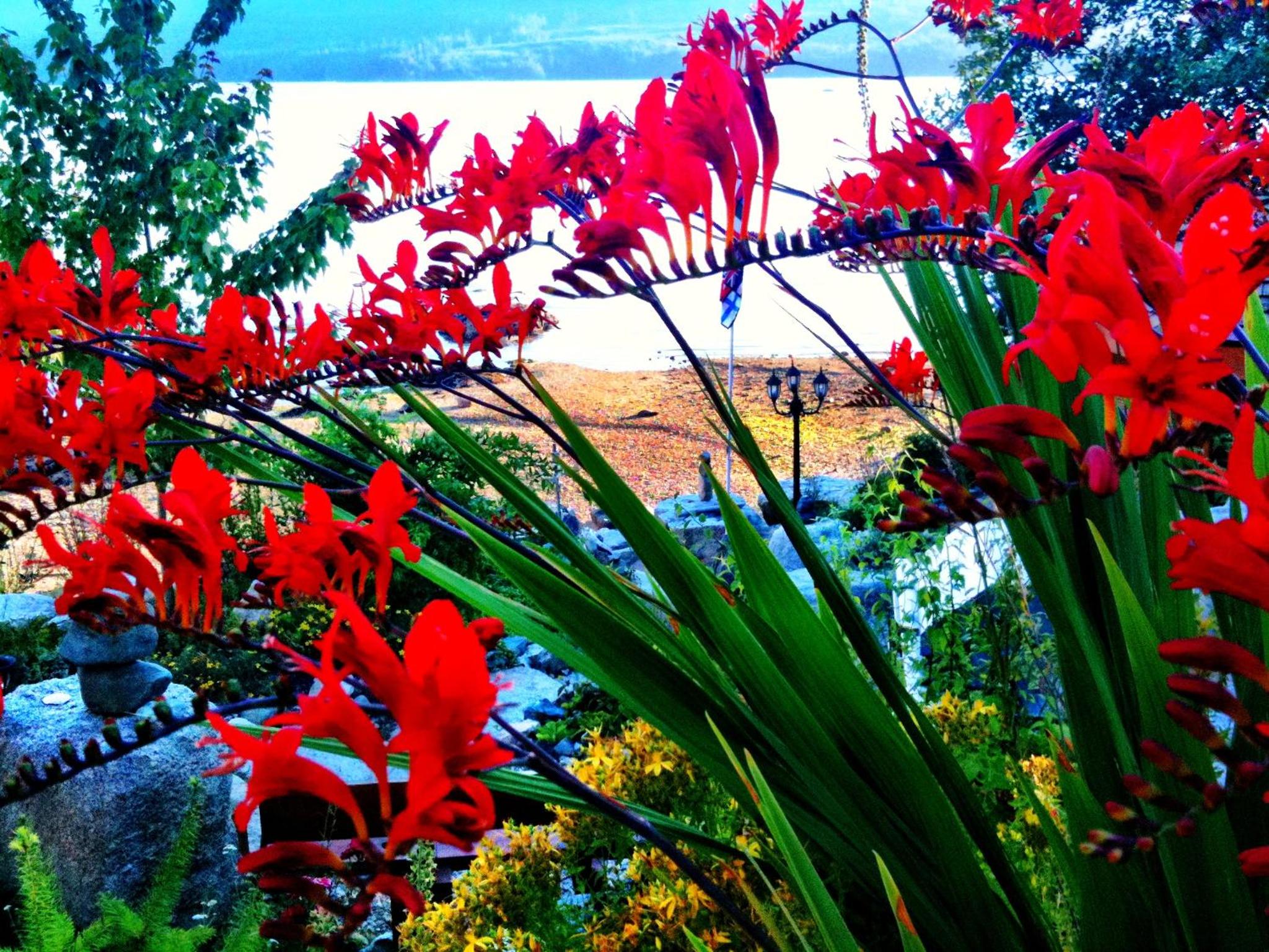 The Tuwanek Bed and Breakfast