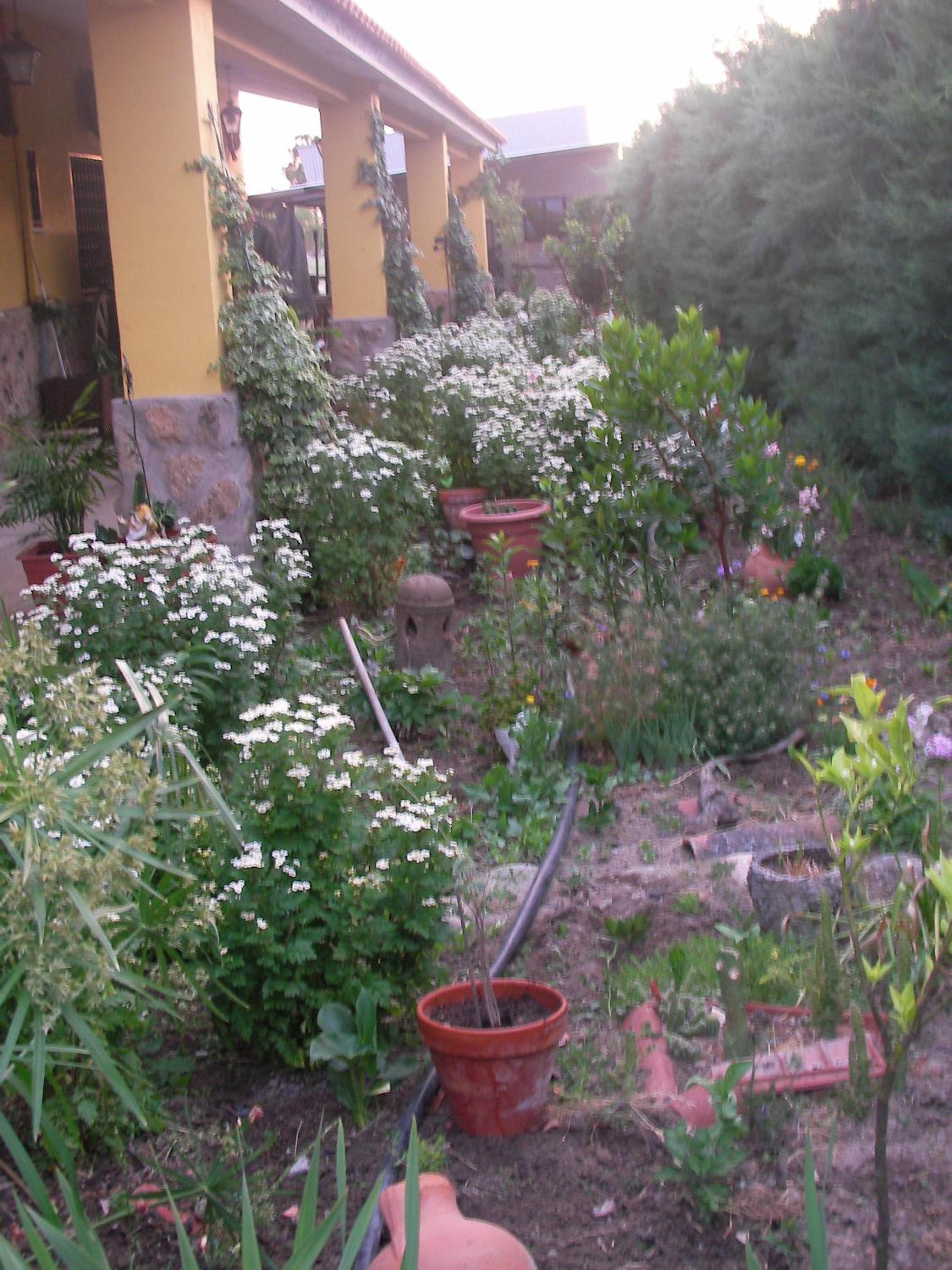 Photo 33