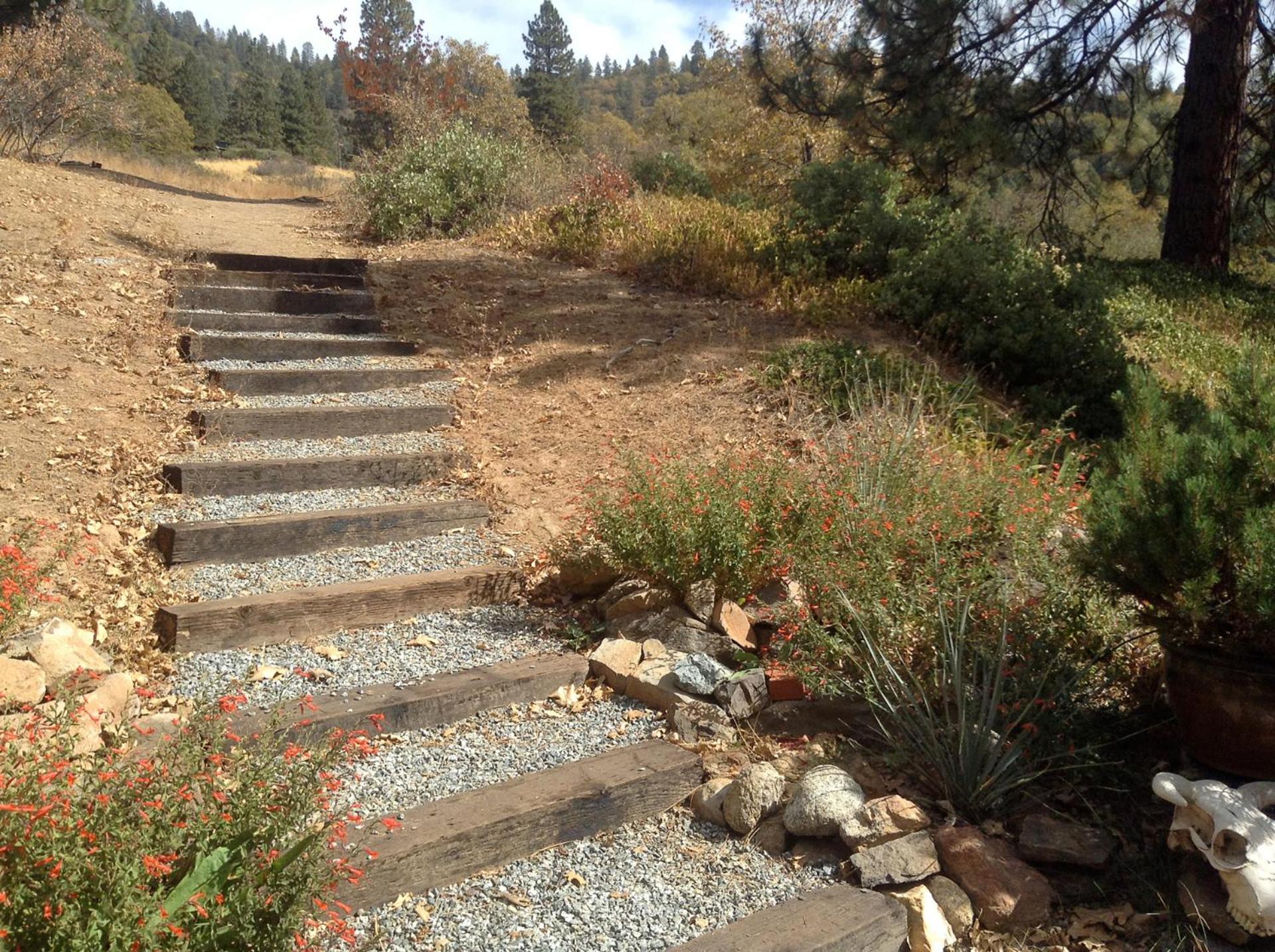 Photo 29