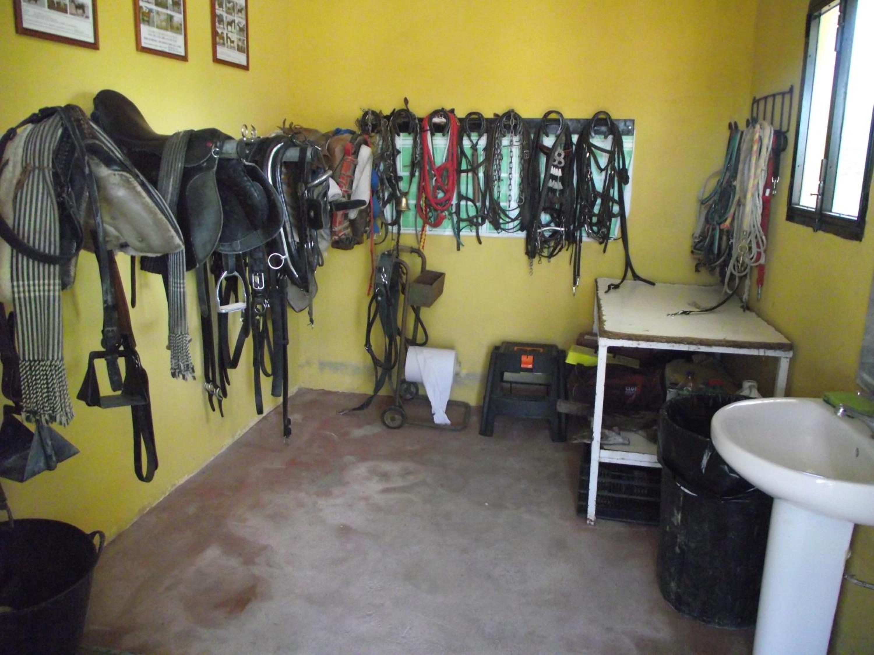 Photo 48