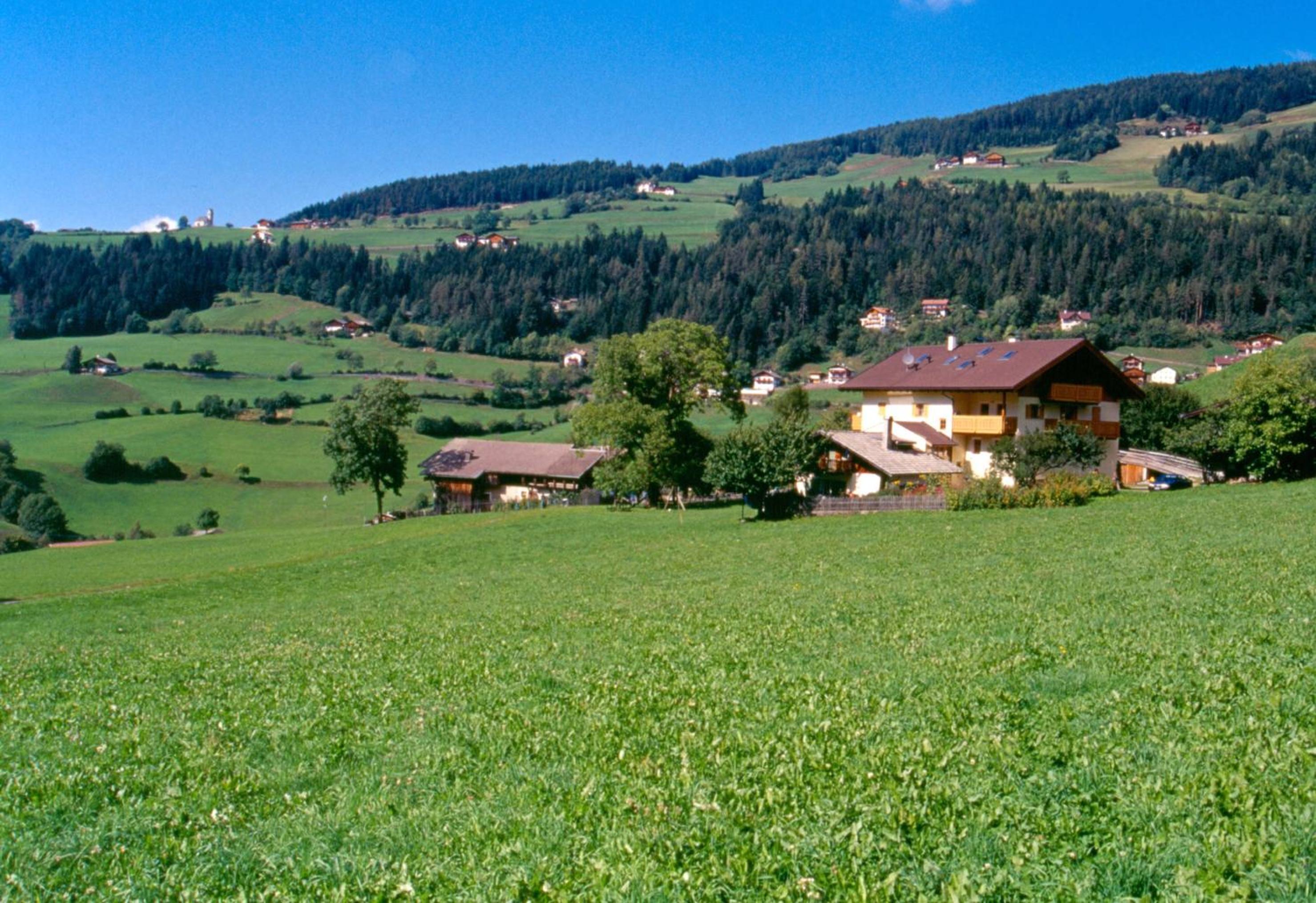 Photo 45