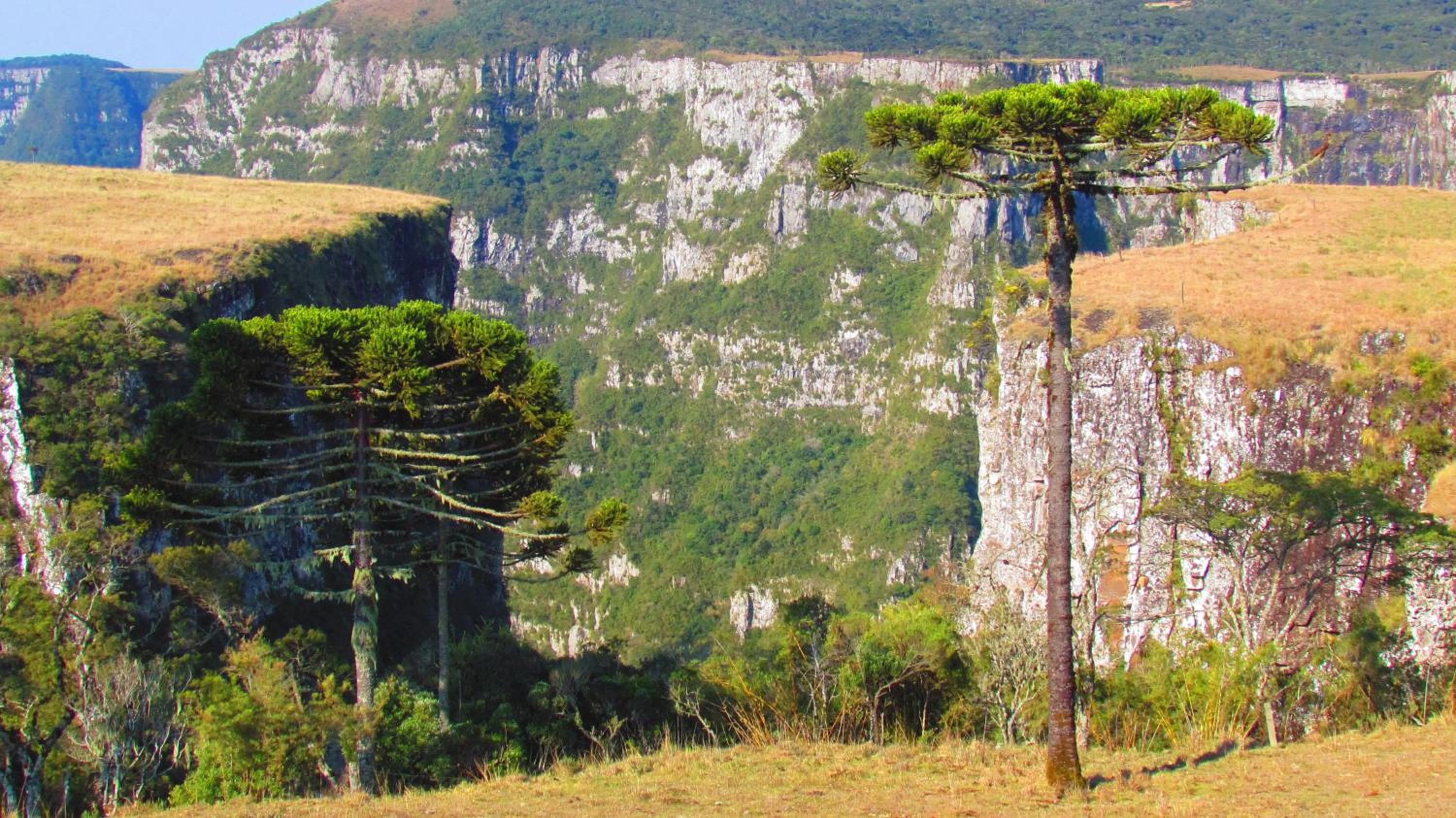 Fazenda Santa Rita Turismo Rural