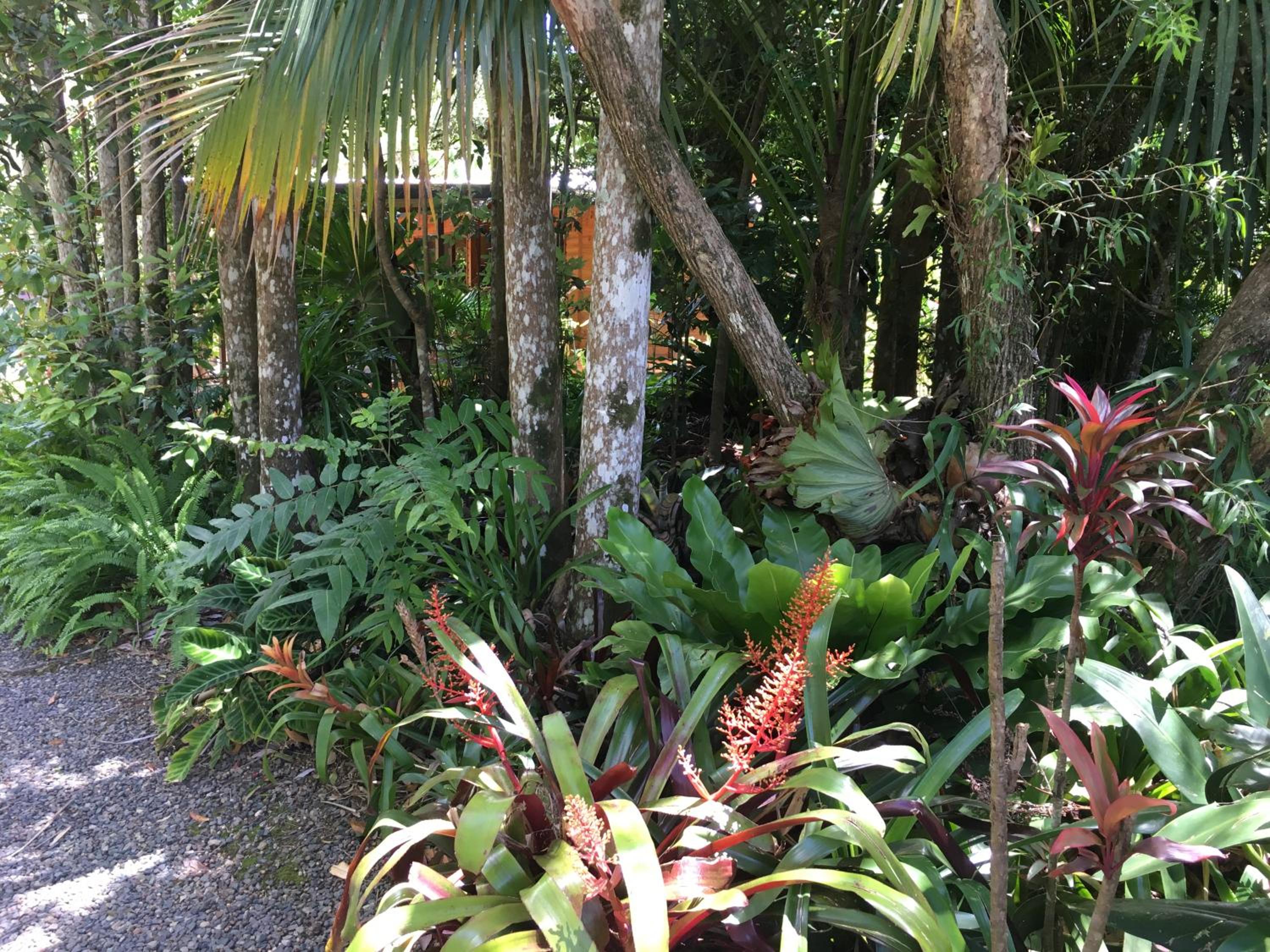 Kin Kin Cottage Retreat