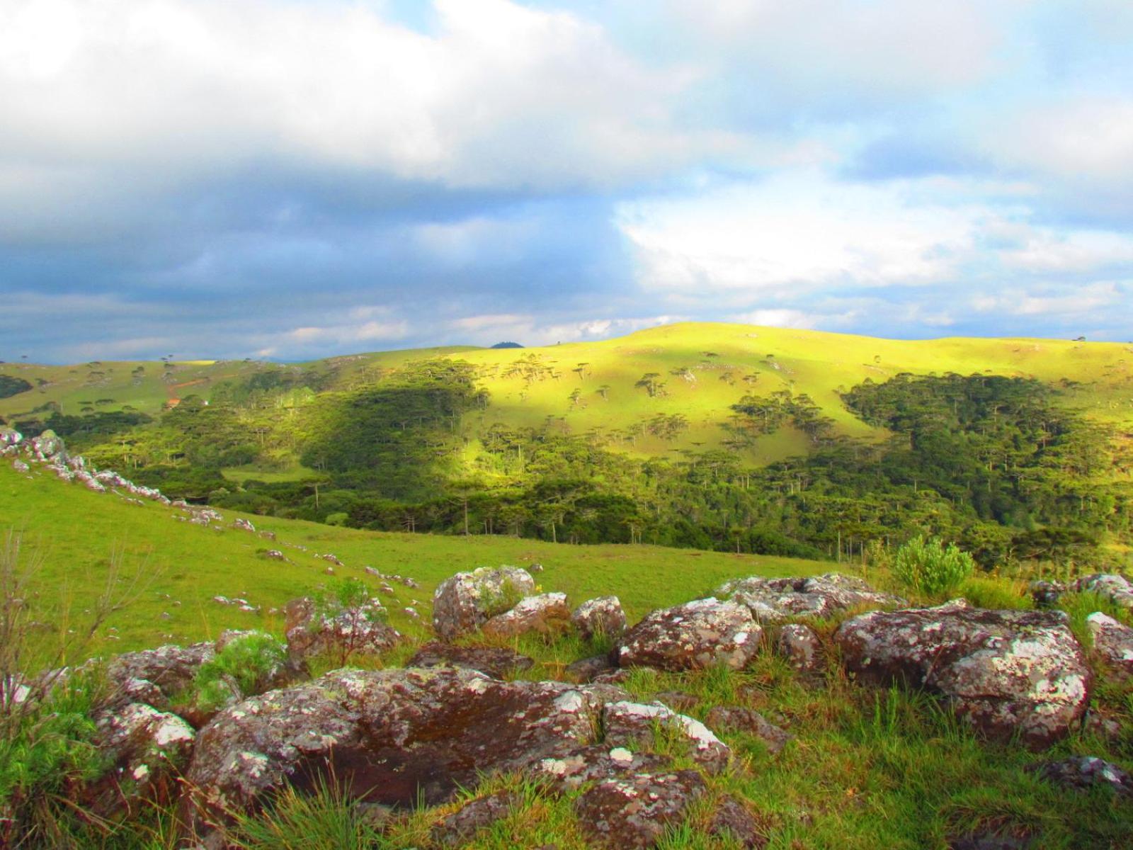 Fazenda Santa Rita Turismo Rural