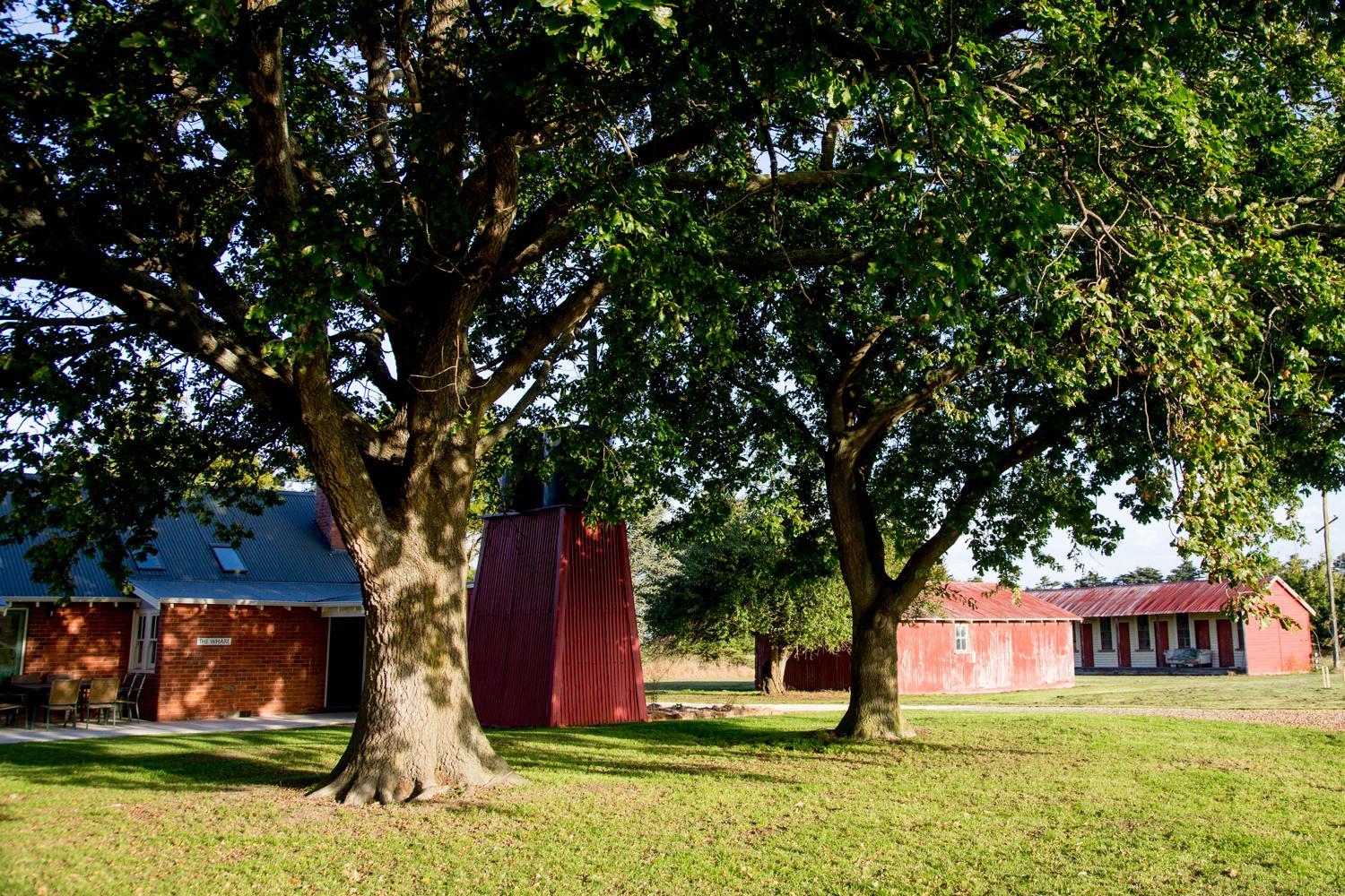 Coldstream Estate - The Whare