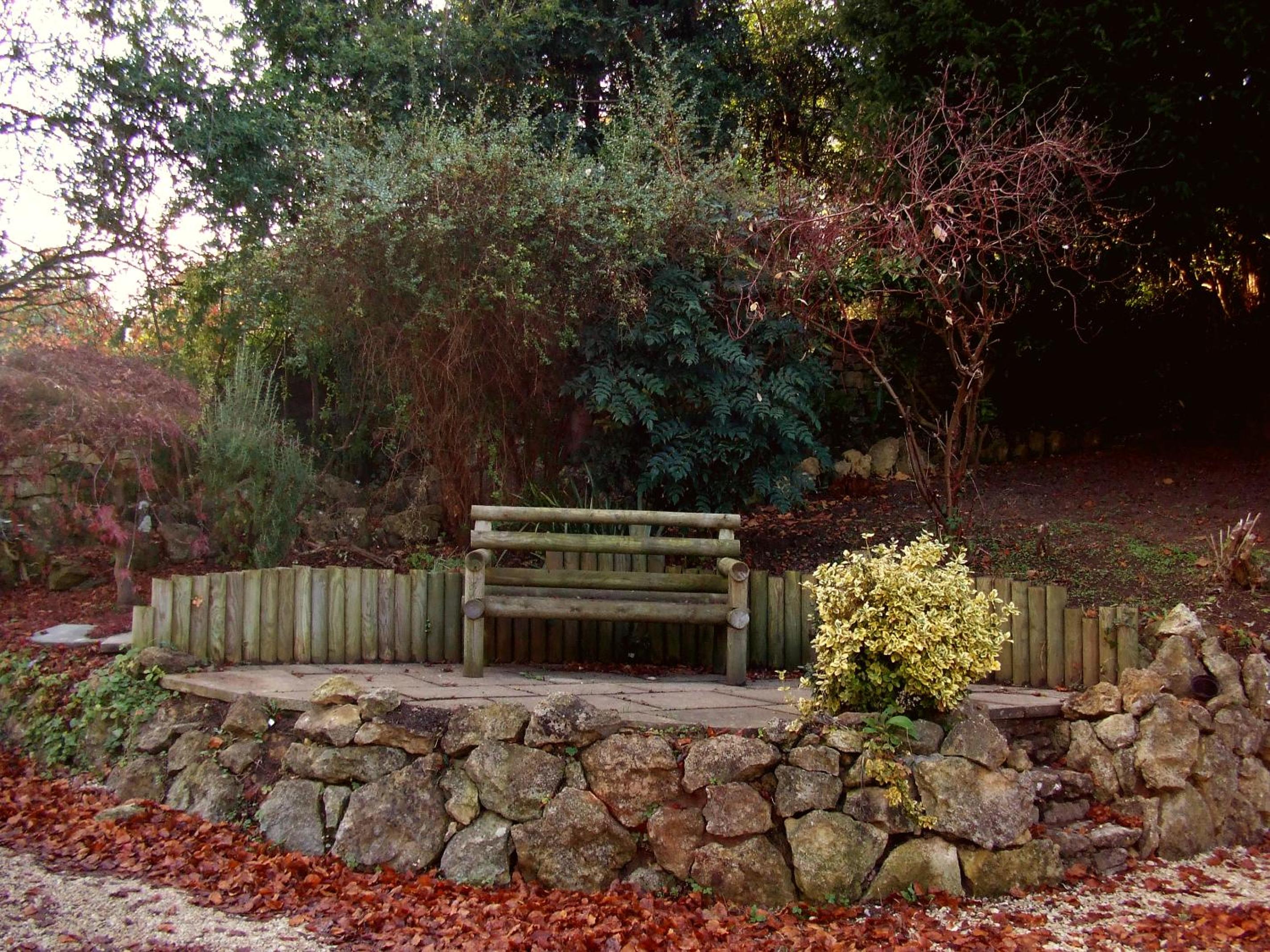 Photo 7