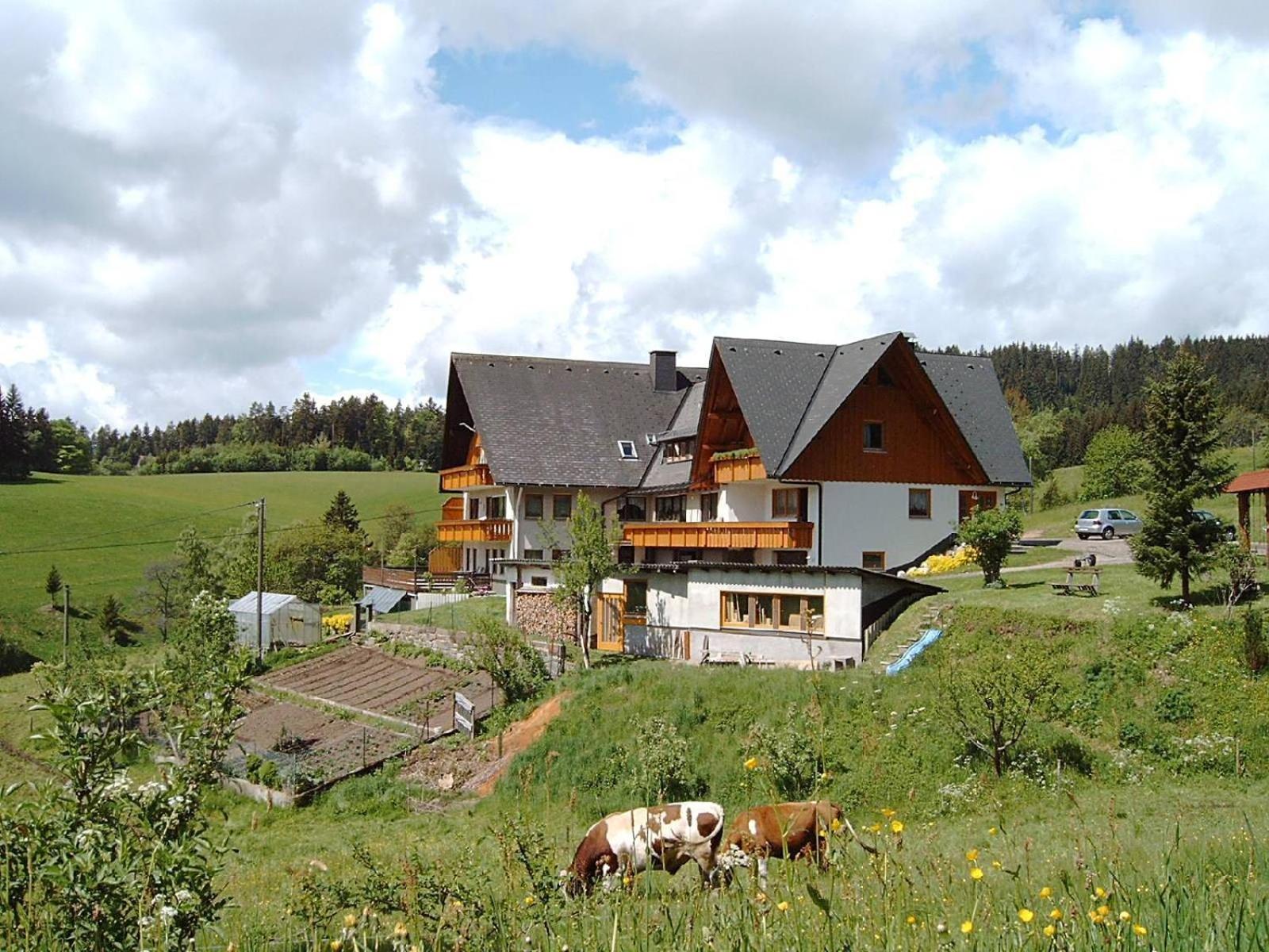 Haus Erlenmoos view 2