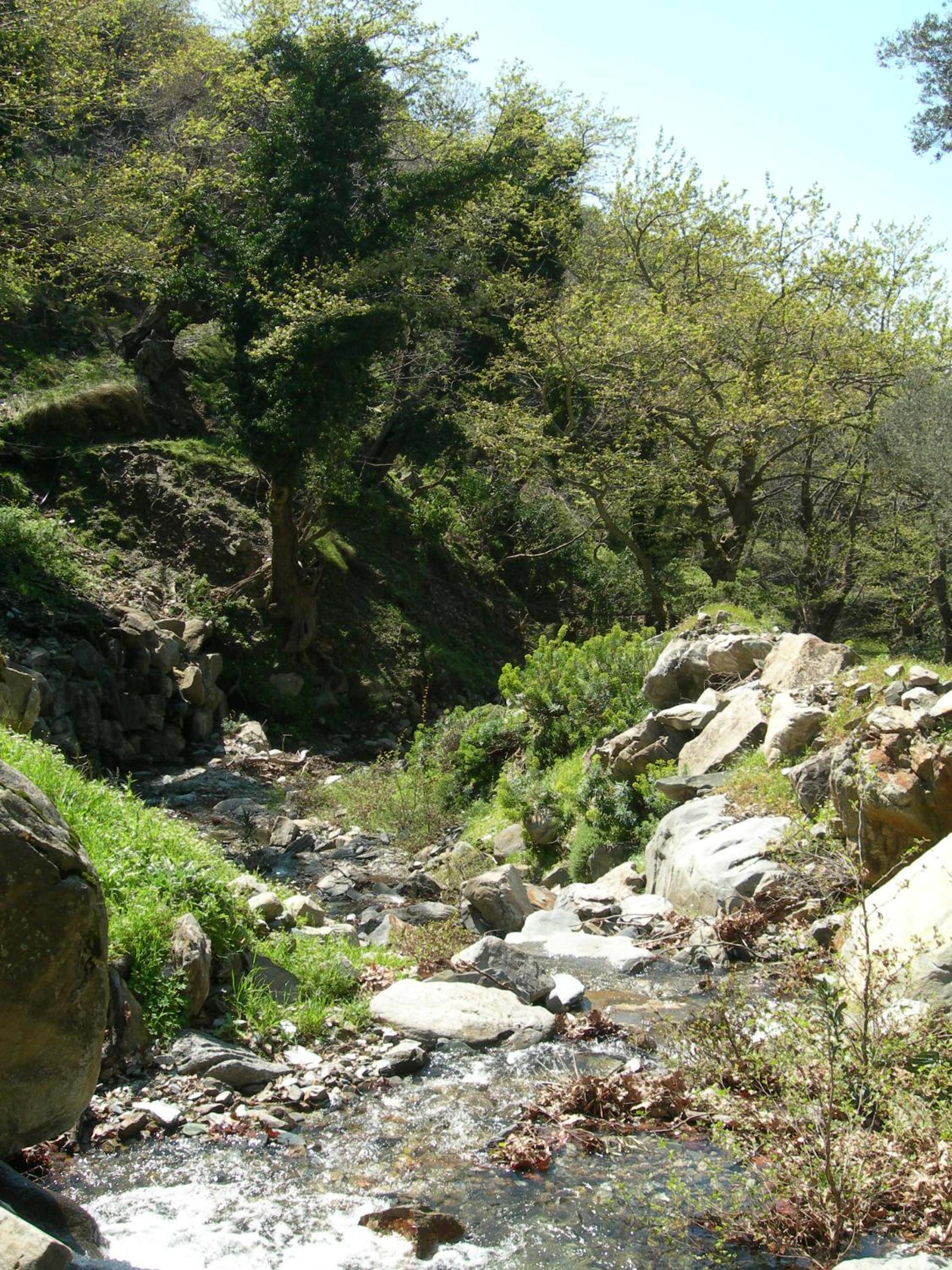 Villa Tzitzifia - Near Elafonisi