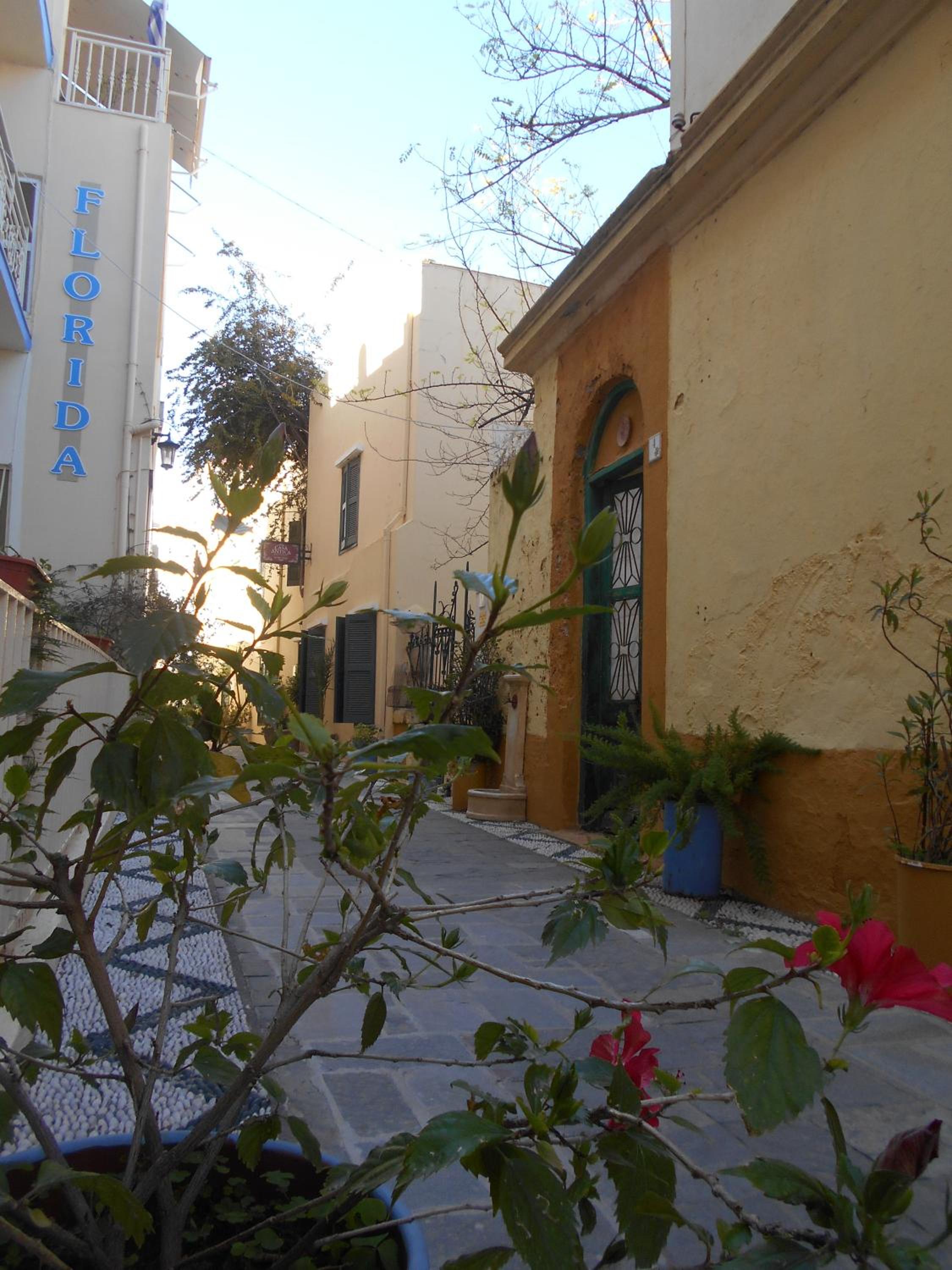 Photo 27