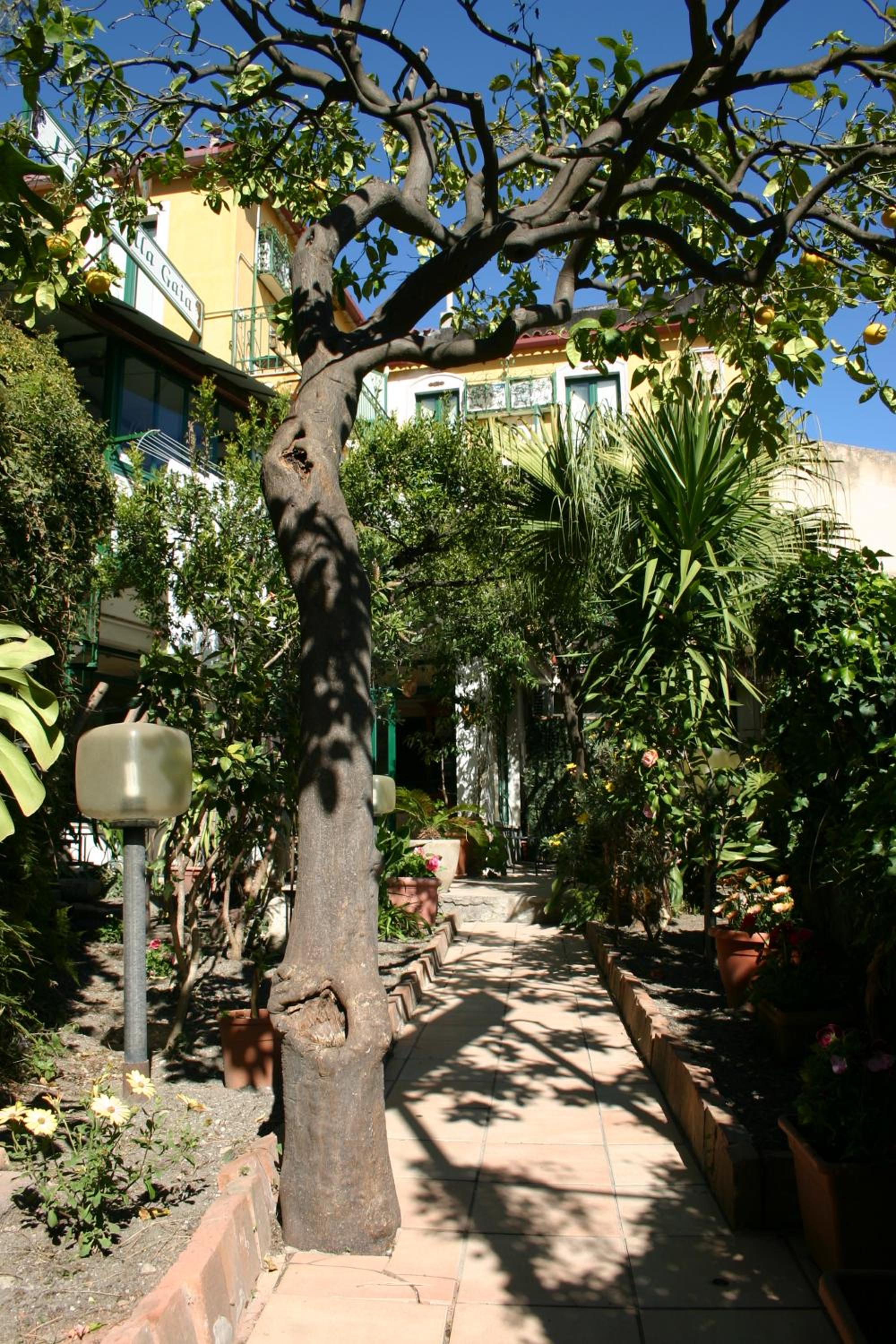 Photo 9