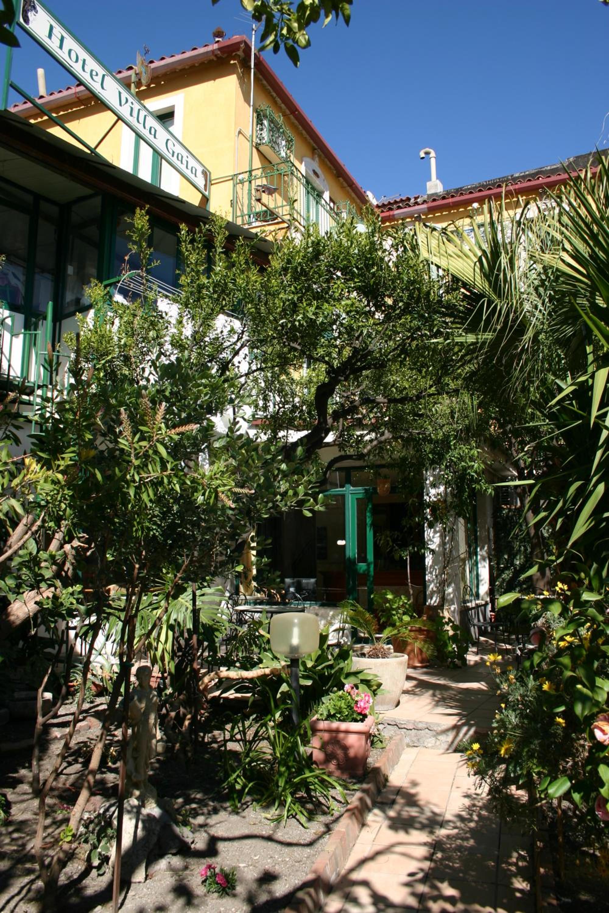 Photo 19