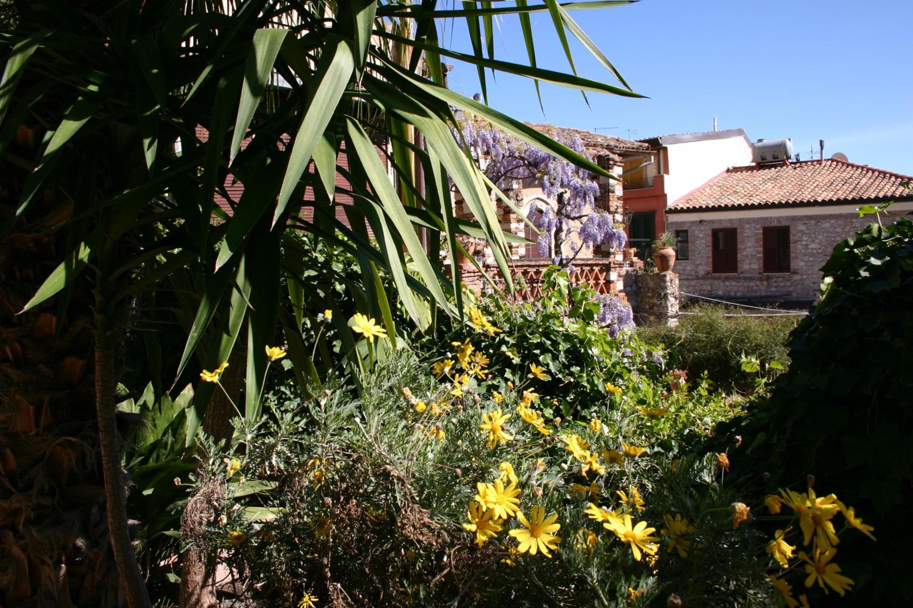 Photo 21